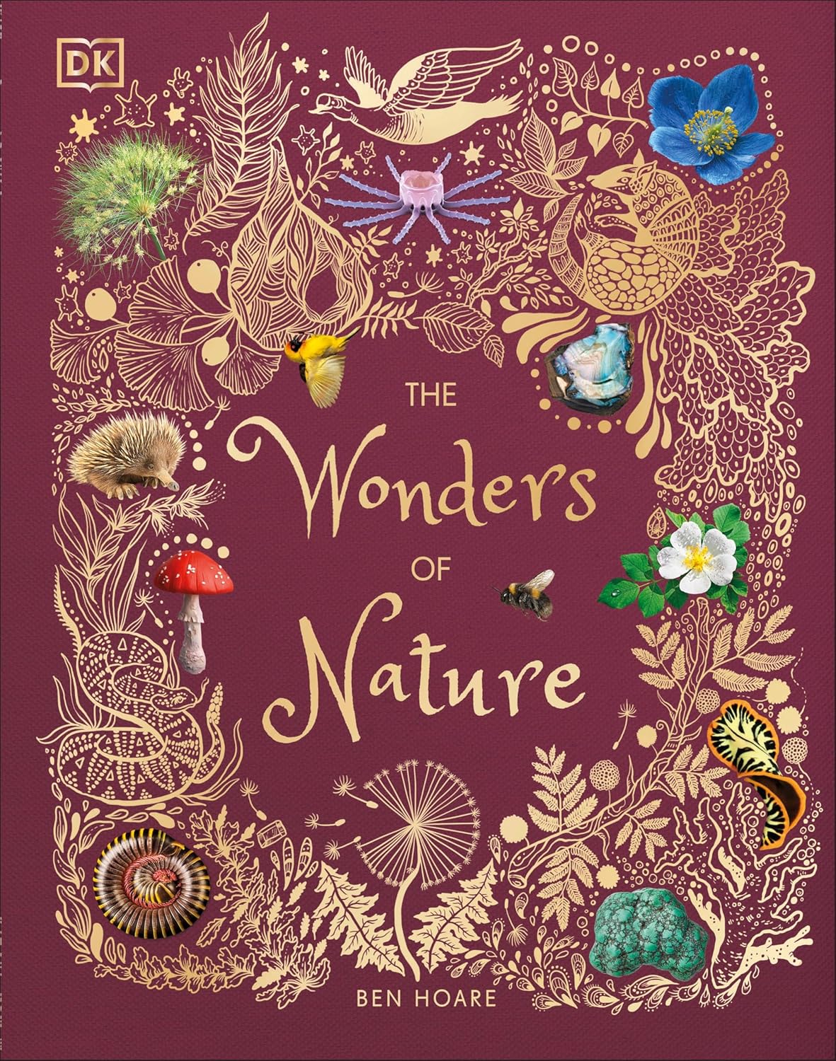 Hardcover book titled "The Wonders of Nature" by Ben Hoare, suitable for ages 7-9, DK Children series, with colorful nature illustrations.