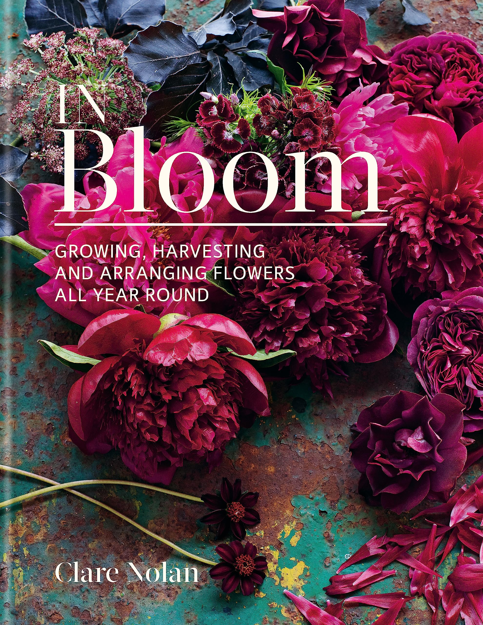 Hardback book "In Bloom" by Clare Nolan, showcasing vibrant cover art and elegant spine design on a wooden surface.