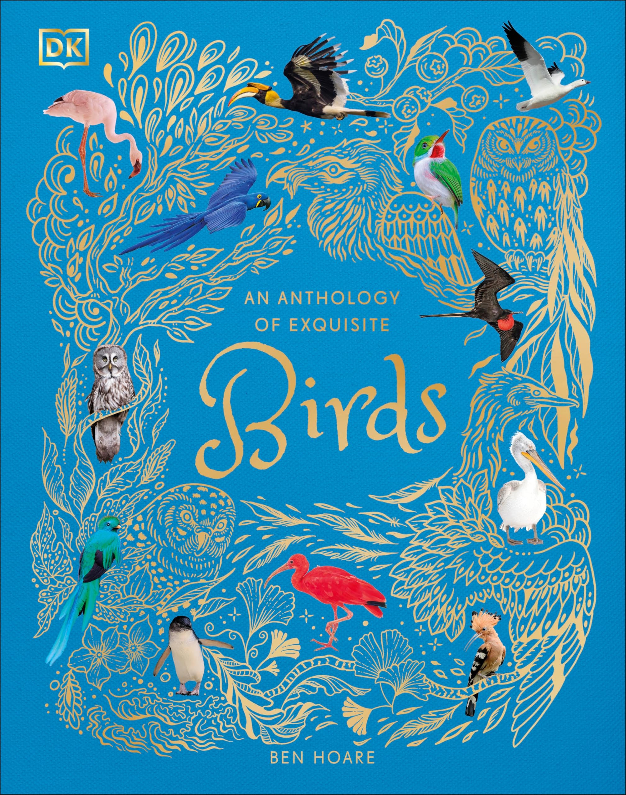 Front cover of An Anthology of Exquisite Birds by Ben Hoare, DK Children's Anthologies hardcover for ages 6-8
