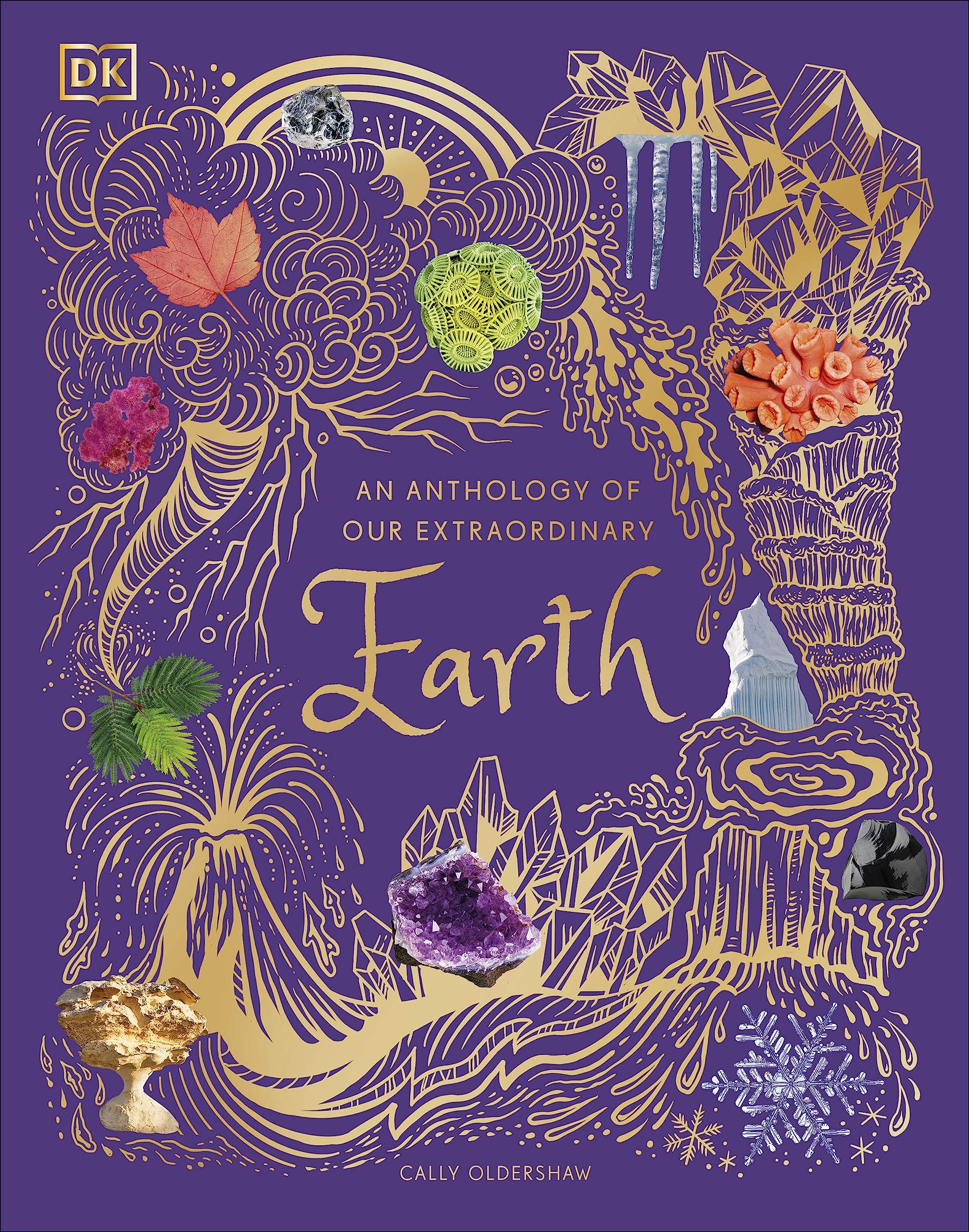 An Anthology of Our Extraordinary Earth by Cally Oldershaw, DK Children's Anthologies hardcover front cover with foil detailing, ages 7-9