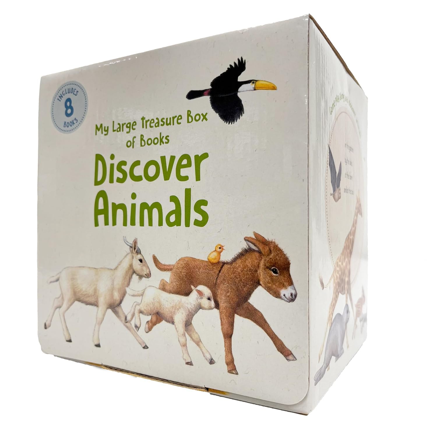 Discover Animals 8-book board book box set by Regina Schwarz - front of box showing all animal titles