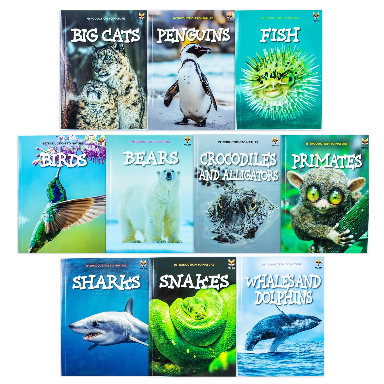 Introduction to Nature 10 Books Collection Set by Katherine Eason - front cover of the paperback box set showing all ten titles