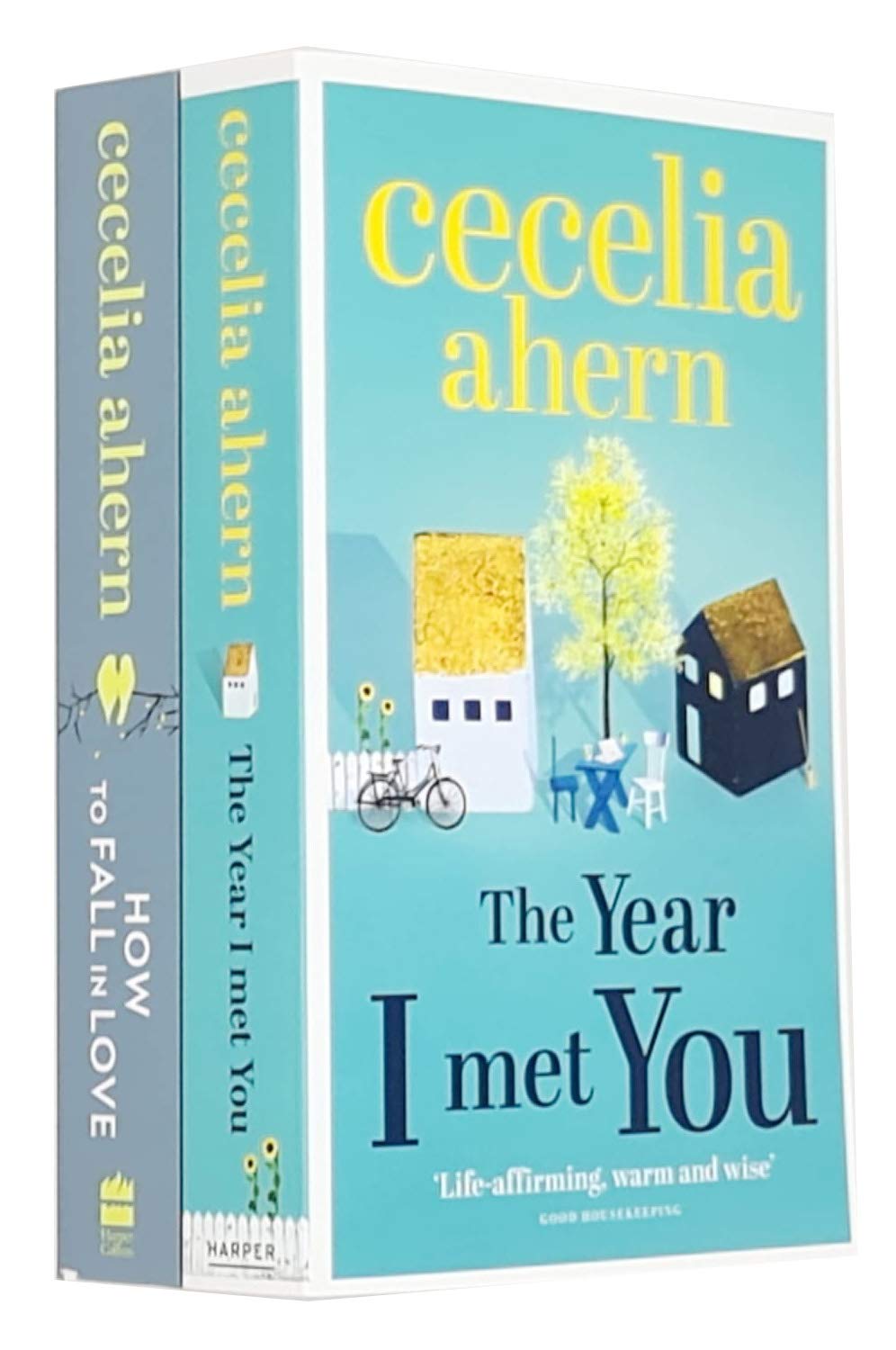 Front cover of The Year I Met You & How to Fall in Love by Cecelia Ahern 2 books collection set, paperback fiction