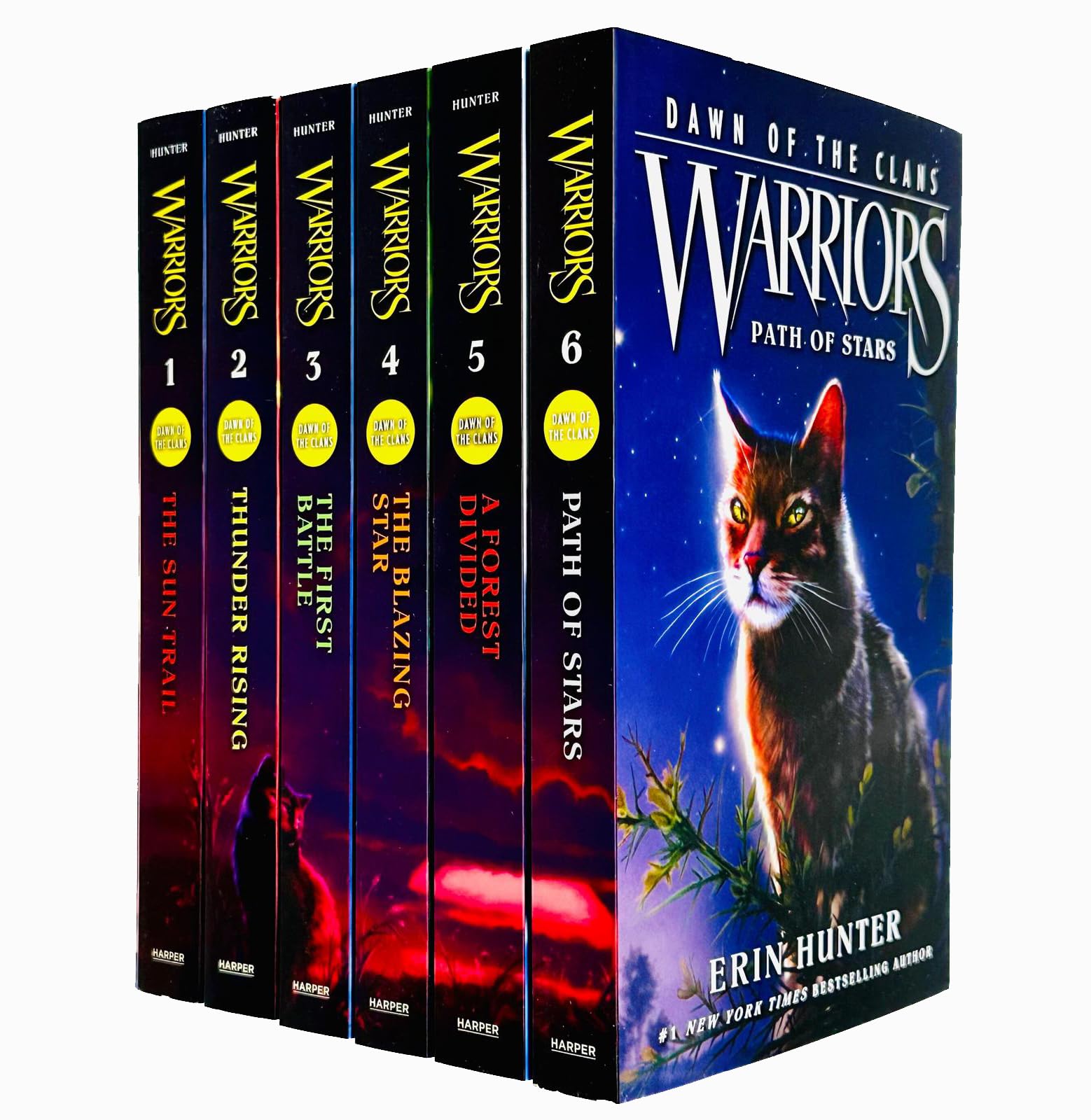 Warriors: Dawn of the Clans by Erin Hunter 6 books collection set paperback front cover
