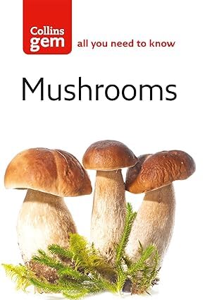 6522745
