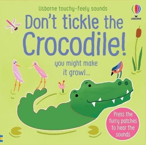 Sam Taplin 5 Books Collection Set of non-fiction board books by Usborne Ltd, featuring colorful covers and engaging illustrations.