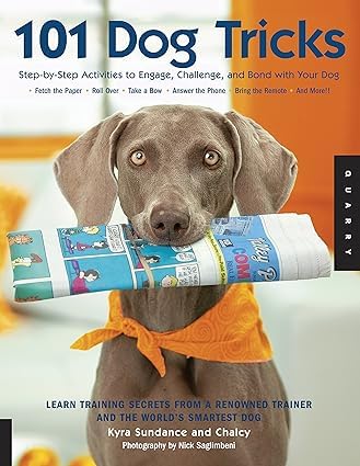 Three paperback books on dog tricks training by Pippa Mattinson, featuring various authors, stacked on a flat surface.
