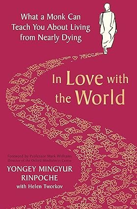 Two paperback books from the Joy of Living Collection by Yongey Mingyur Rinpoche, featuring non-fiction content.