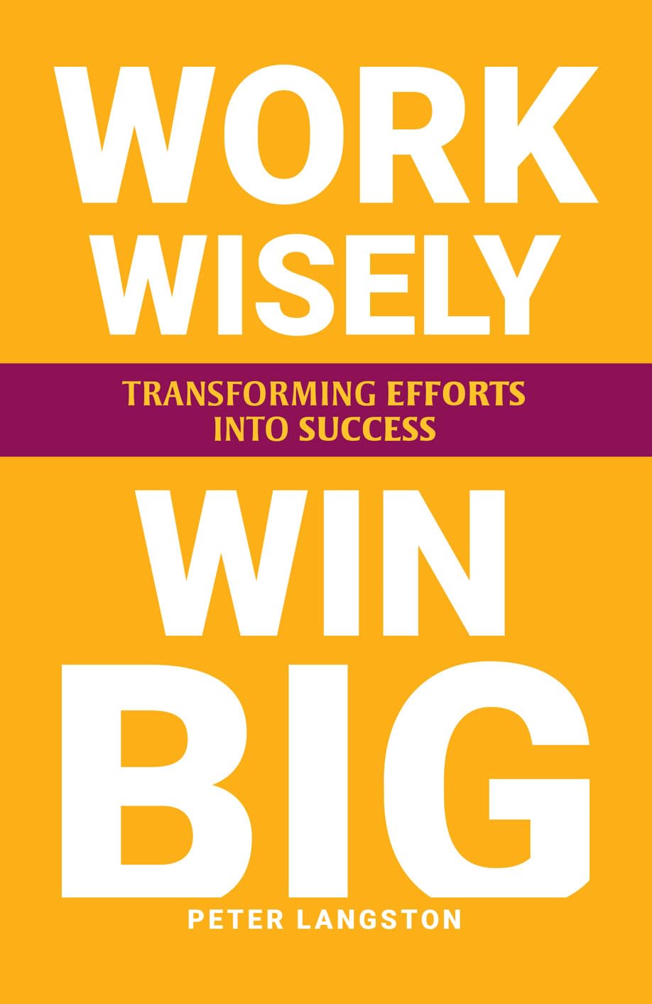 Paperback copy of "Work Wisely, Win Big" by Peter Langston, featuring a clean cover design and clear title text.