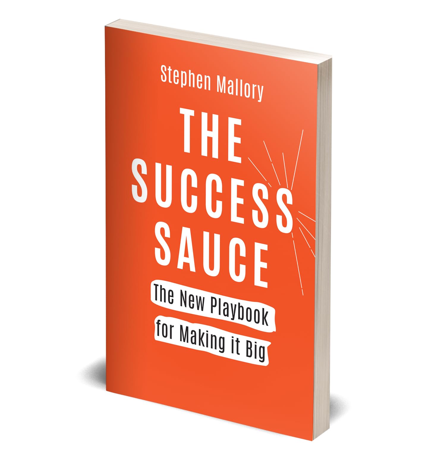 The Success Sauce by Stephen Mallory, a paperback non-fiction book on a wooden table with a cozy reading nook background.