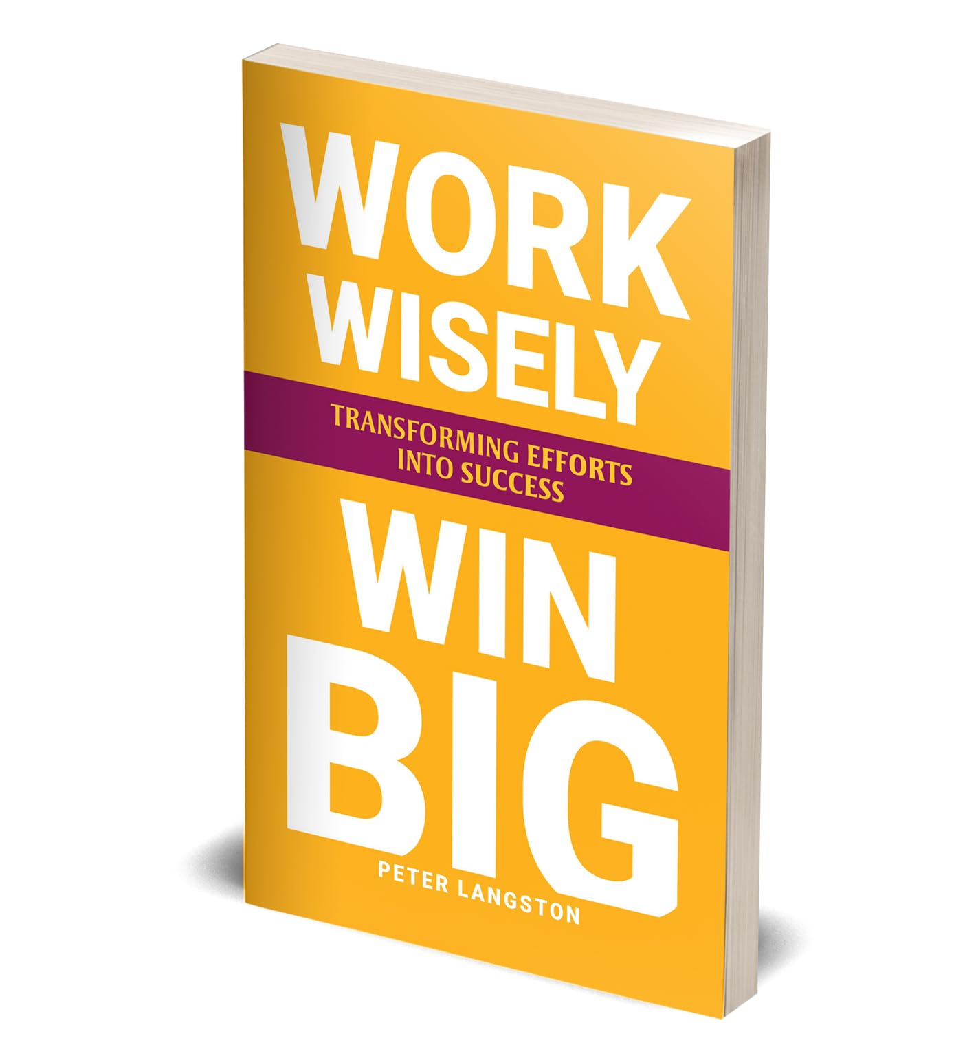 Work Wisely, Win Big by Peter Langston, a paperback non-fiction book displayed on a wooden surface.