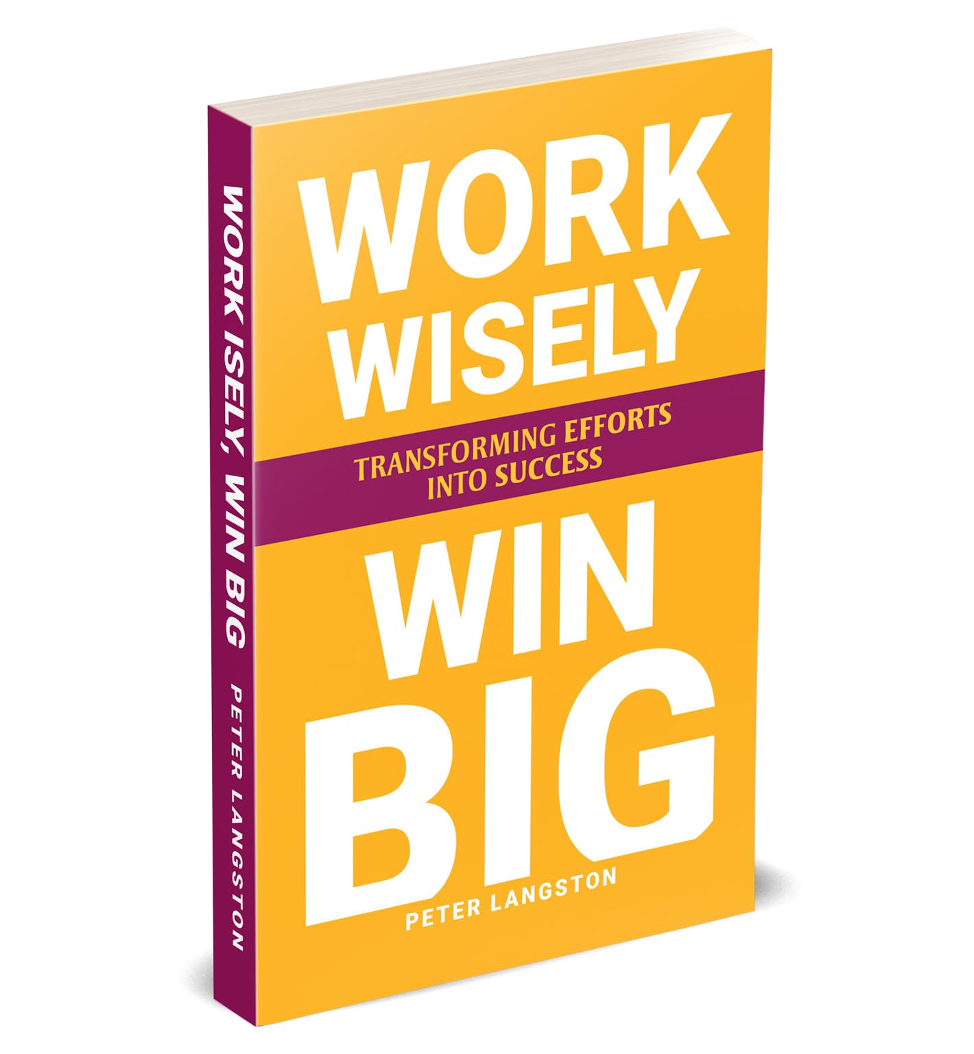Paperback edition of "Work Wisely, Win Big" by Peter Langston, showcasing the cover design and title.