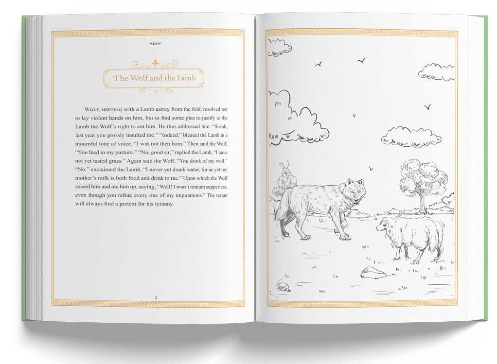Leather bound edition of Aesop's Fables in hardback, featuring intricate cover design and classic illustrations.