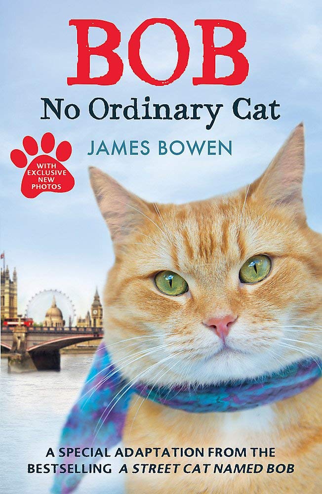 James Bowen 3 Books Collection Set in paperback, showcasing covers of non-fiction works by author James Bowen.