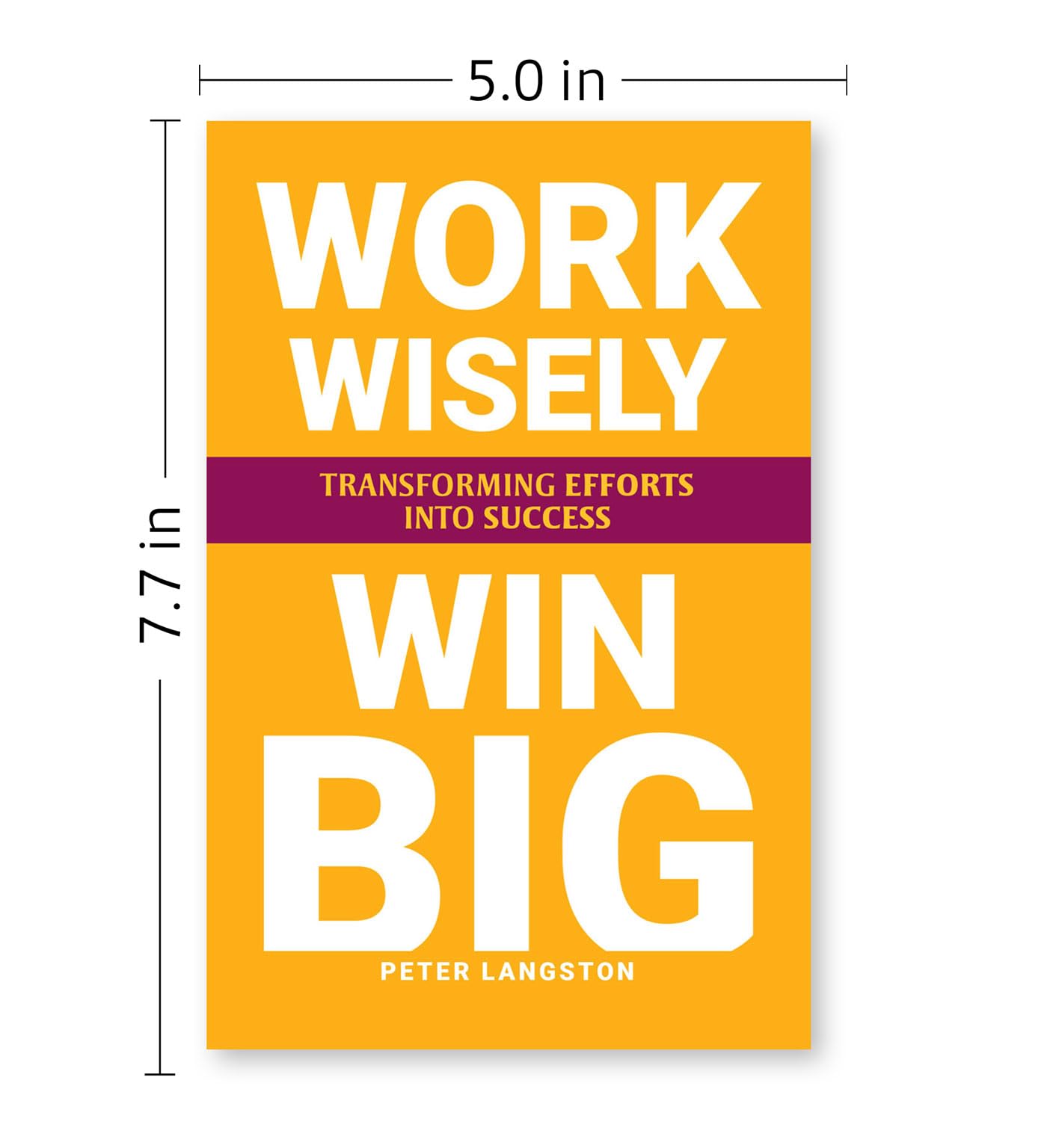 Paperback copy of "Work Wisely, Win Big" by Peter Langston, showcasing the book cover design and title.