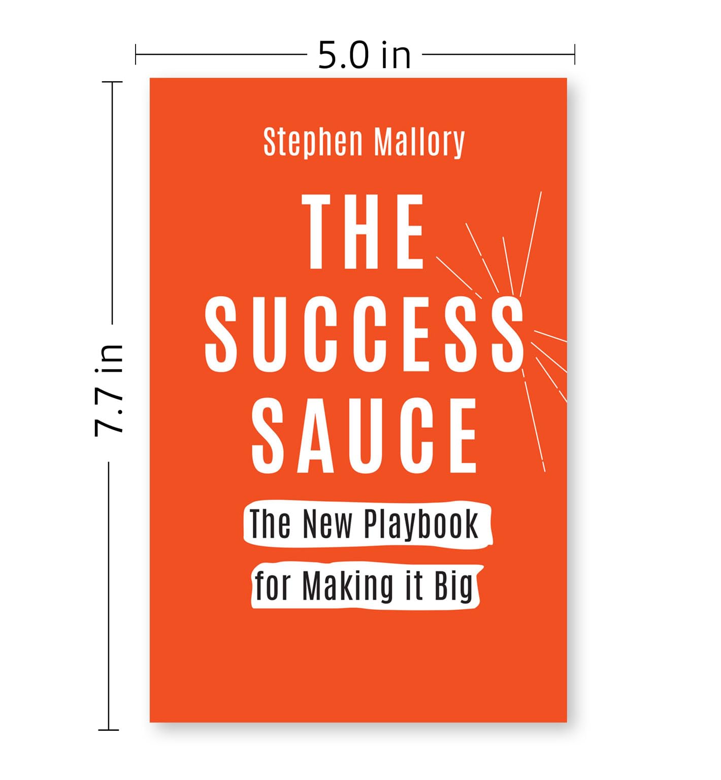 The Success Sauce by Stephen Mallory, a paperback non-fiction book, showcasing the cover design and title.