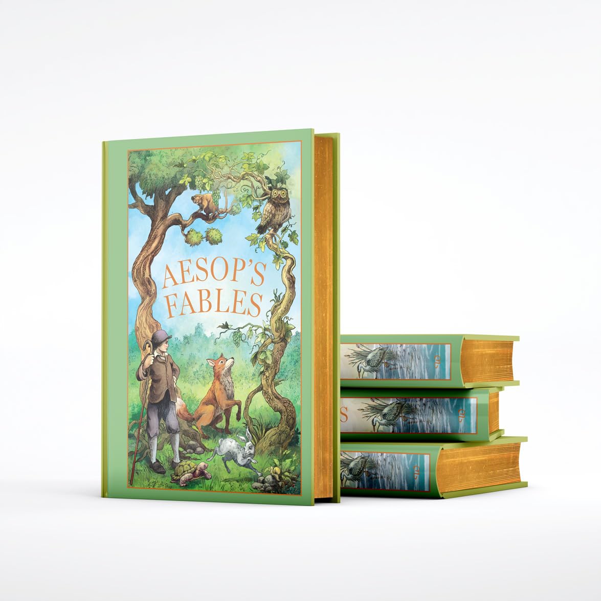 Leather bound edition of Aesop's Fables hardback book by Aesop, featuring classic illustrations and ornate cover design.