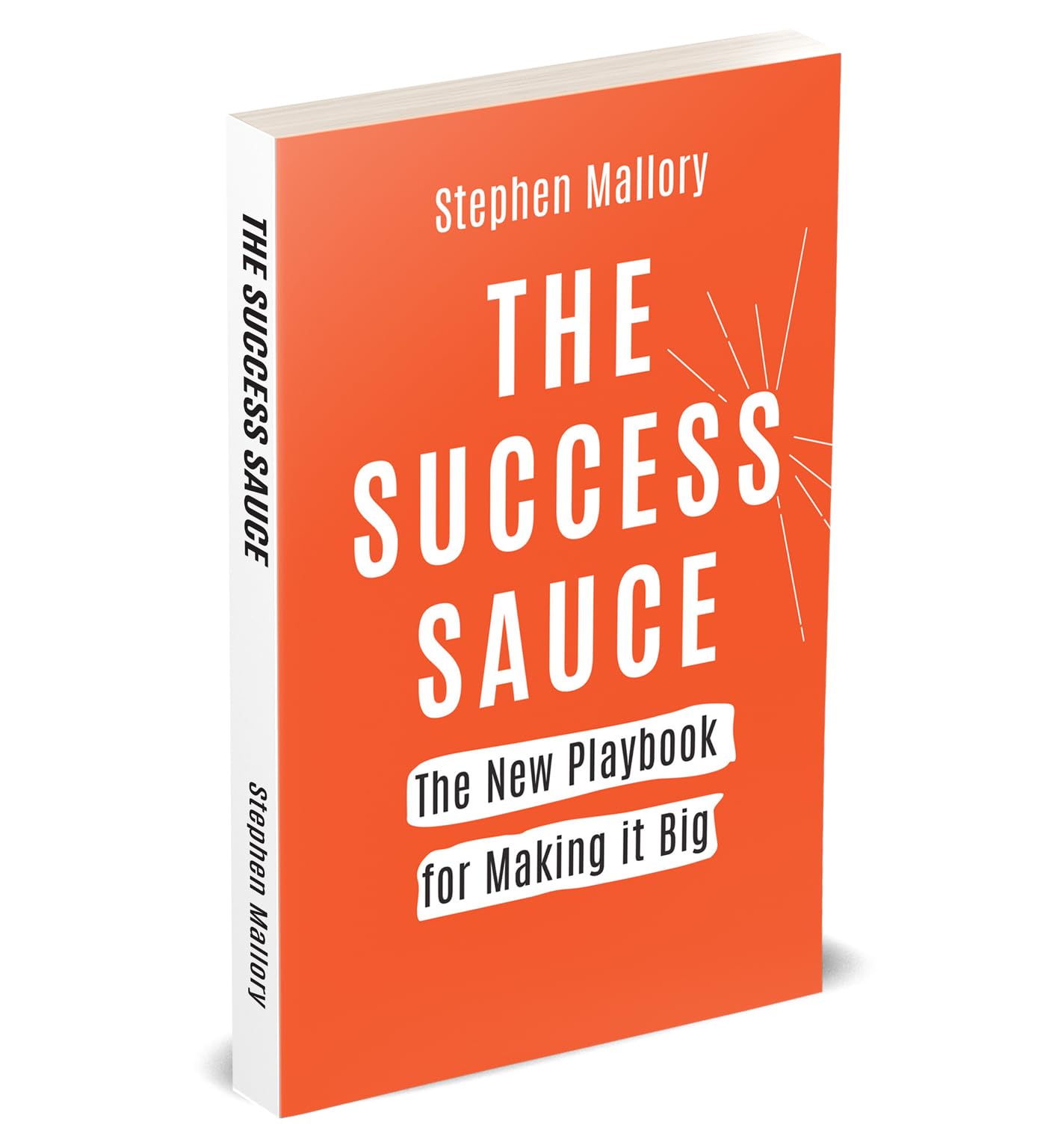 The Success Sauce by Stephen Mallory, paperback book cover featuring bold typography and vibrant colors.