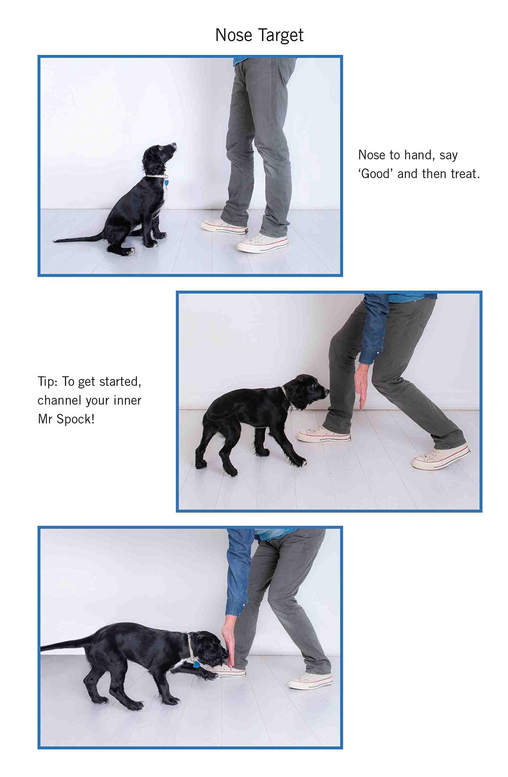 Paperback copy of "Easy Peasy Puppy Squeezy" by Steve Mann, showcasing tips for puppy training and care.