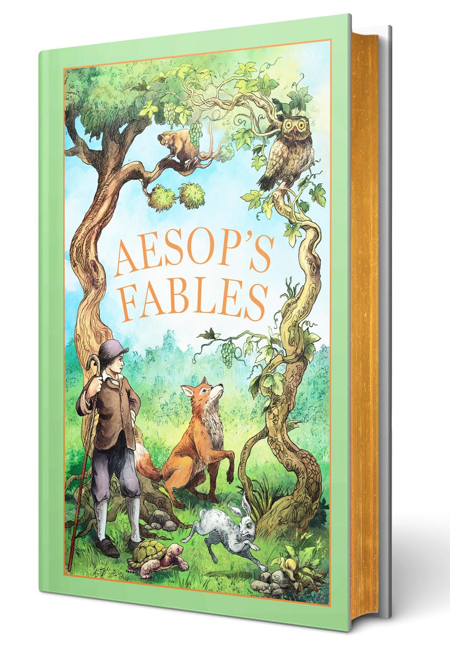 Leather bound edition of Aesop's Fables in hardback, showcasing intricate cover design and classic literary charm.