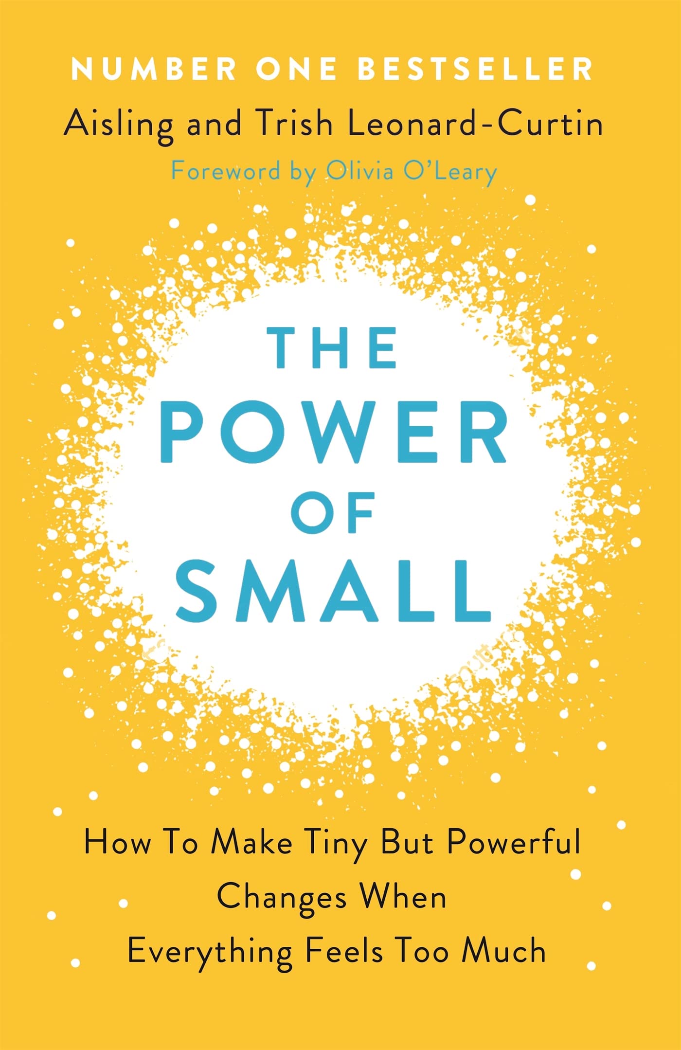 Paperback edition of "Power of Small" by Aisling Leonard-Curtin, featuring an engaging cover design.