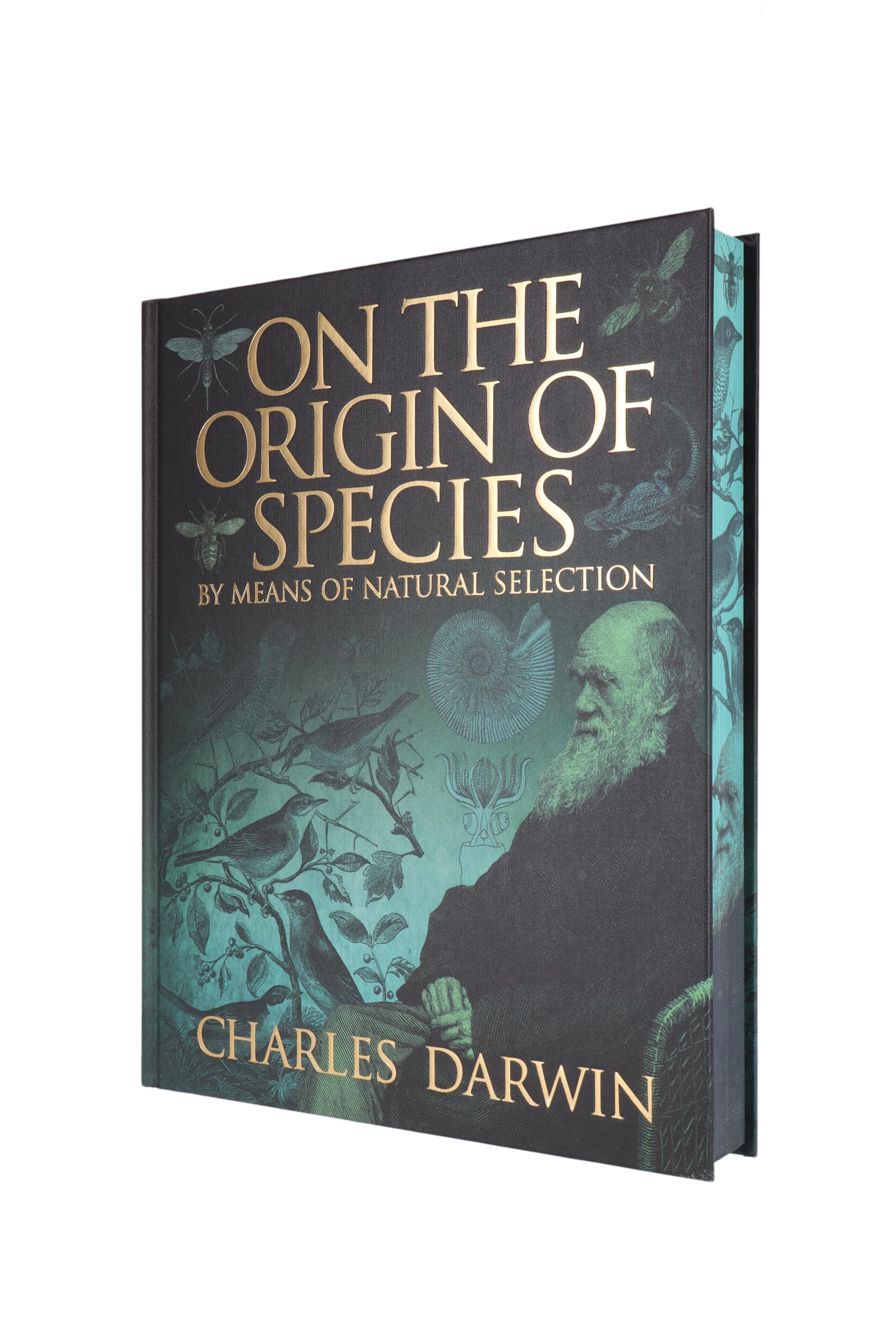 Hardback edition of "On the Origin of Species" by Charles Darwin, featuring a detailed cover design.