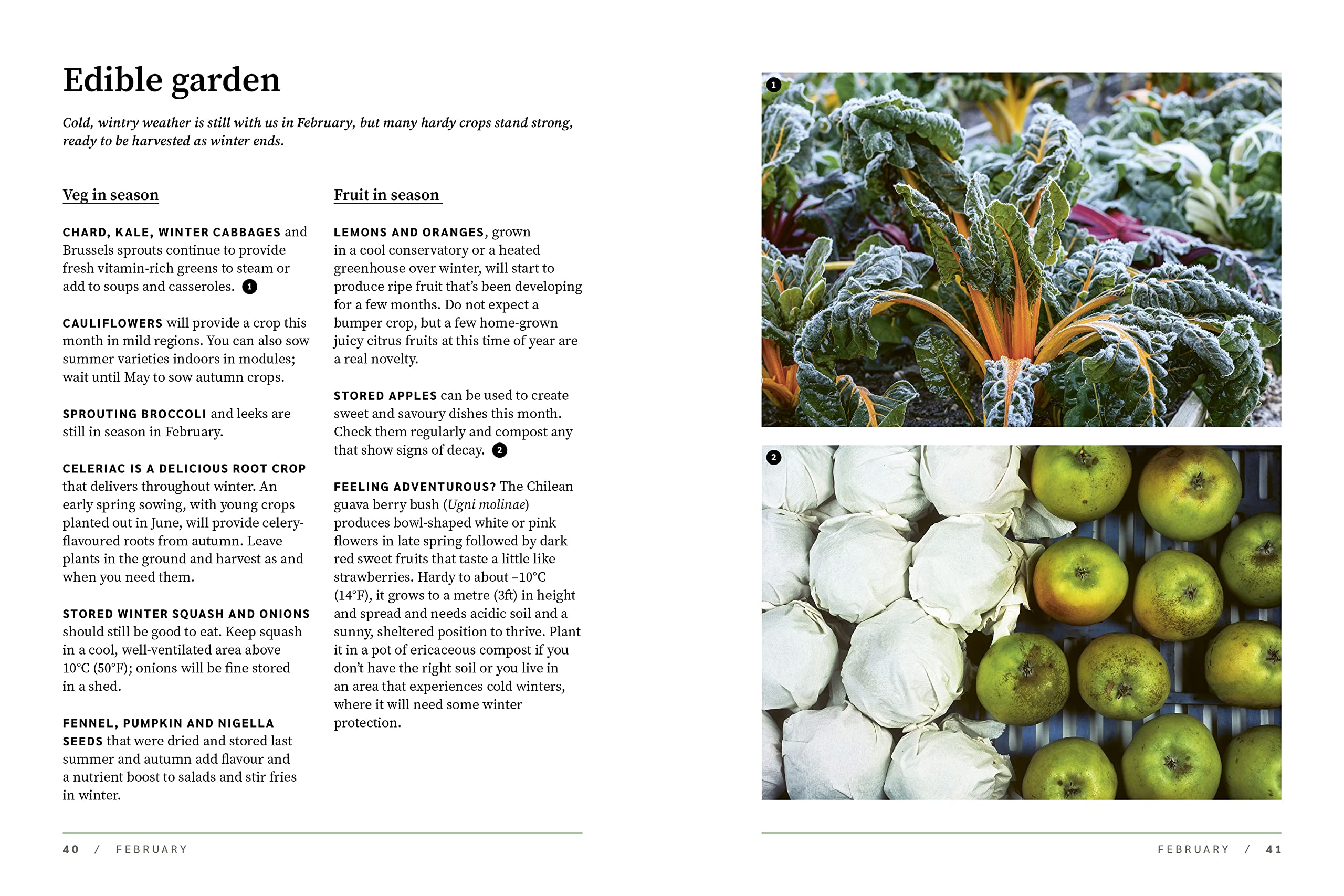 RHS Garden Almanac 2024 hardback book cover by RHS, featuring vibrant garden imagery and informative gardening content.