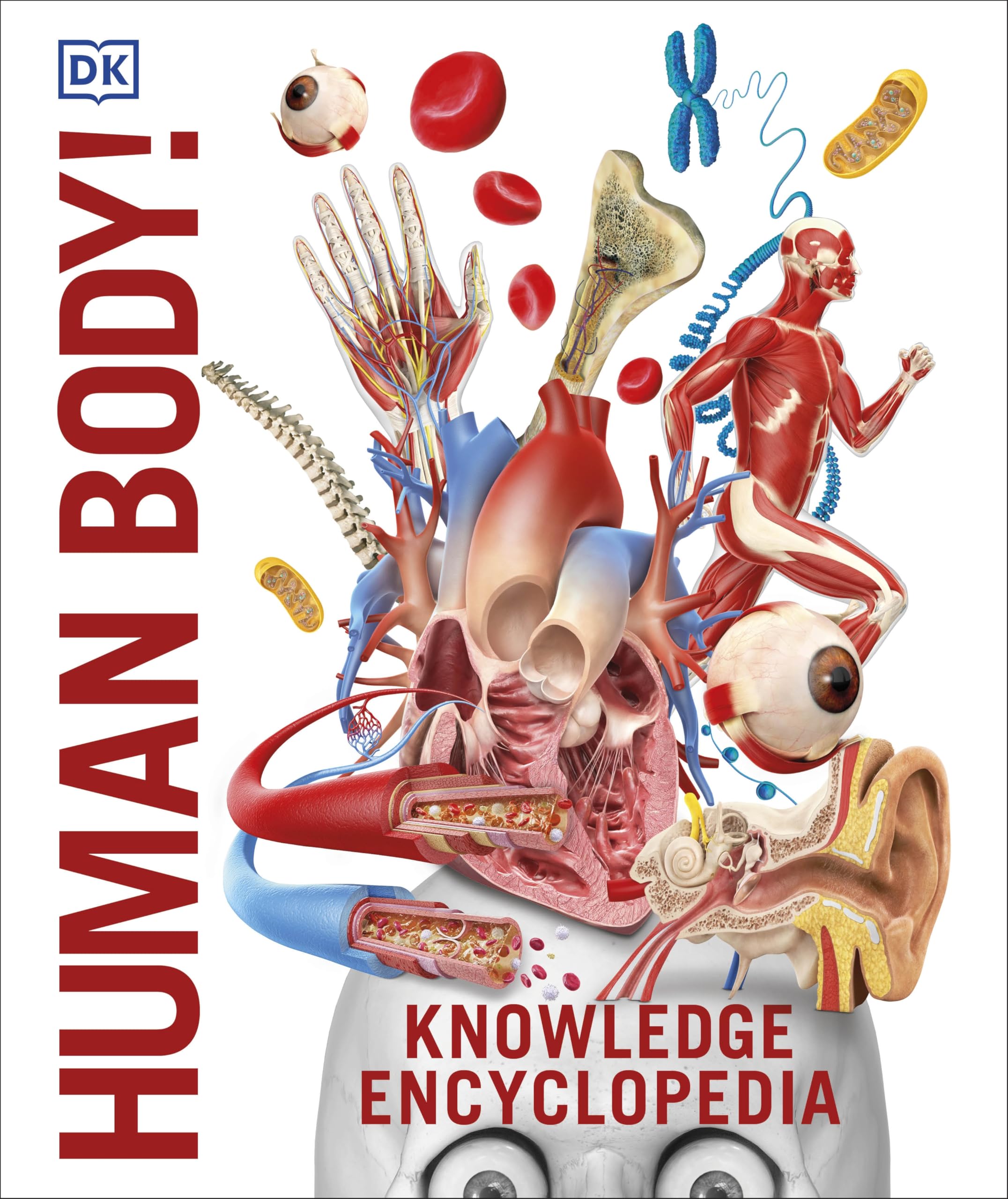 Hardback Knowledge Encyclopedia The Human Body by DK, showcasing detailed illustrations and informative content for children.