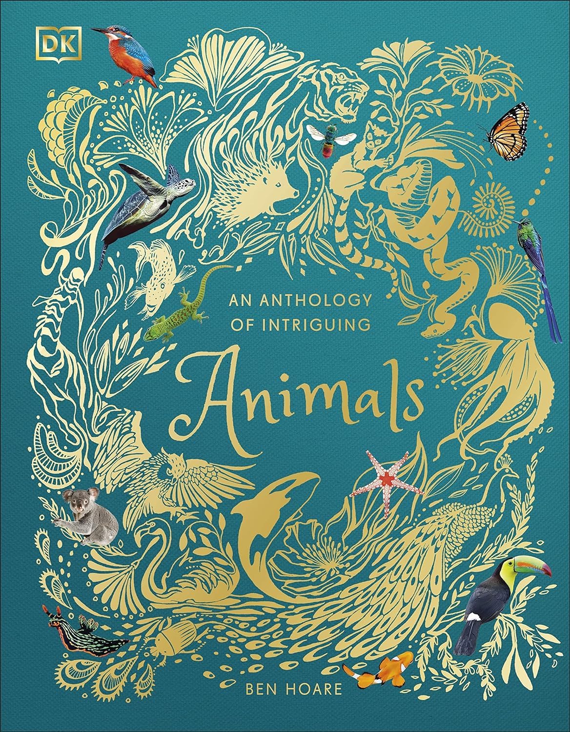Three hardcover books from DK Children Ltd's "Wonders of Nature" collection by Ben Hoare, featuring nature and related facts.