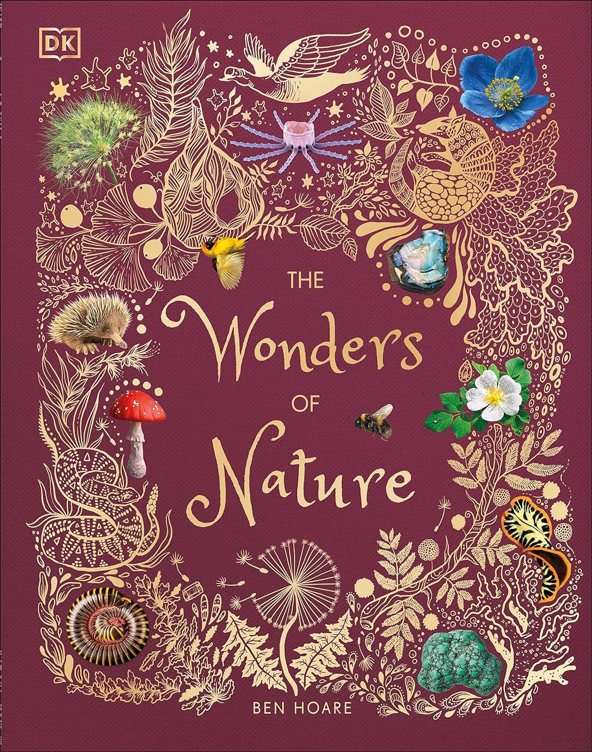 Set of three hardcover books by DK Children Ltd, "The Wonders of Nature" collection with Ben Hoare, featuring colorful nature-themed covers.