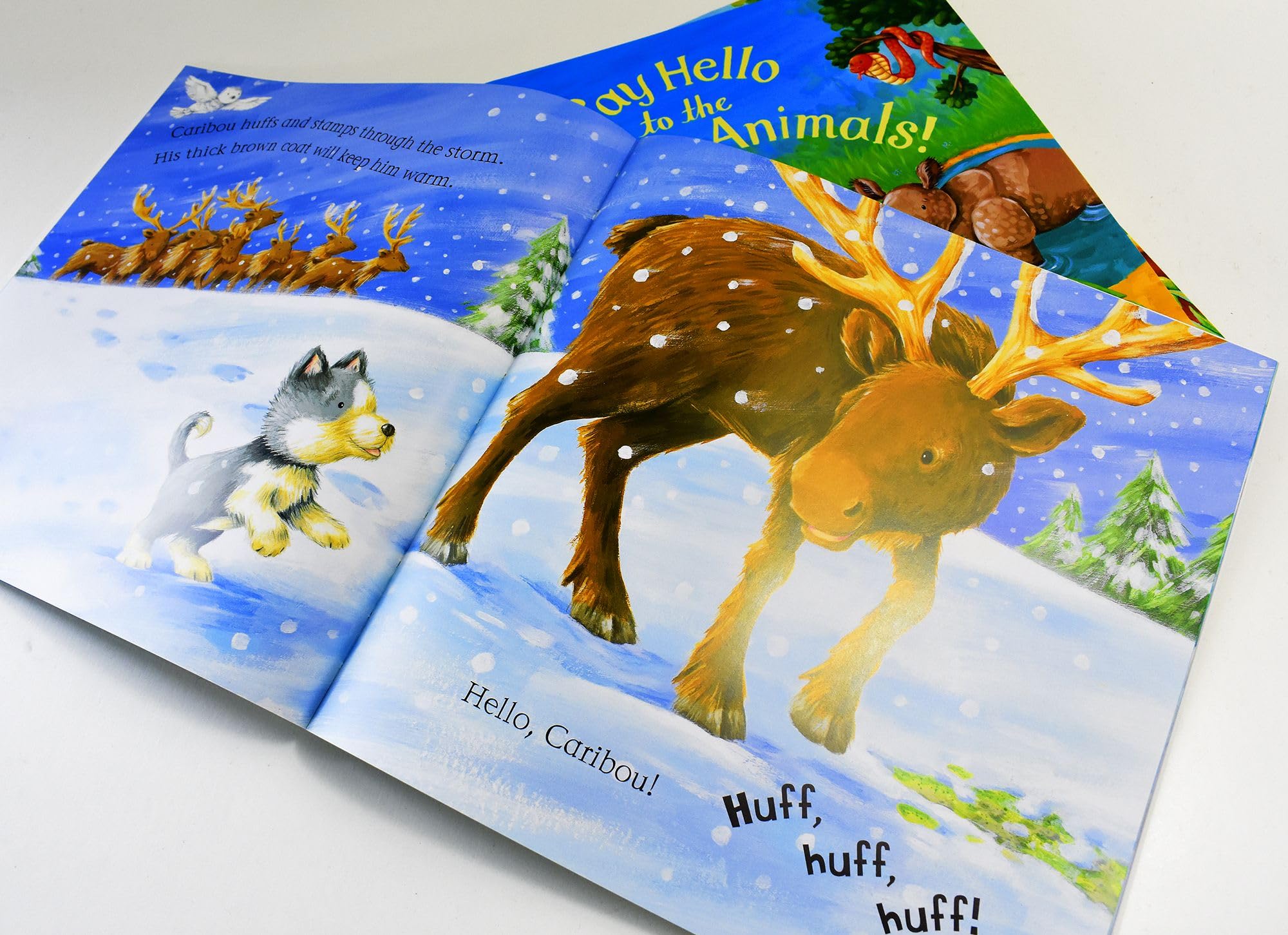 Six paperback children's books from Ian Whybrow's "Say Hello to the Animals" collection for ages 3–7.