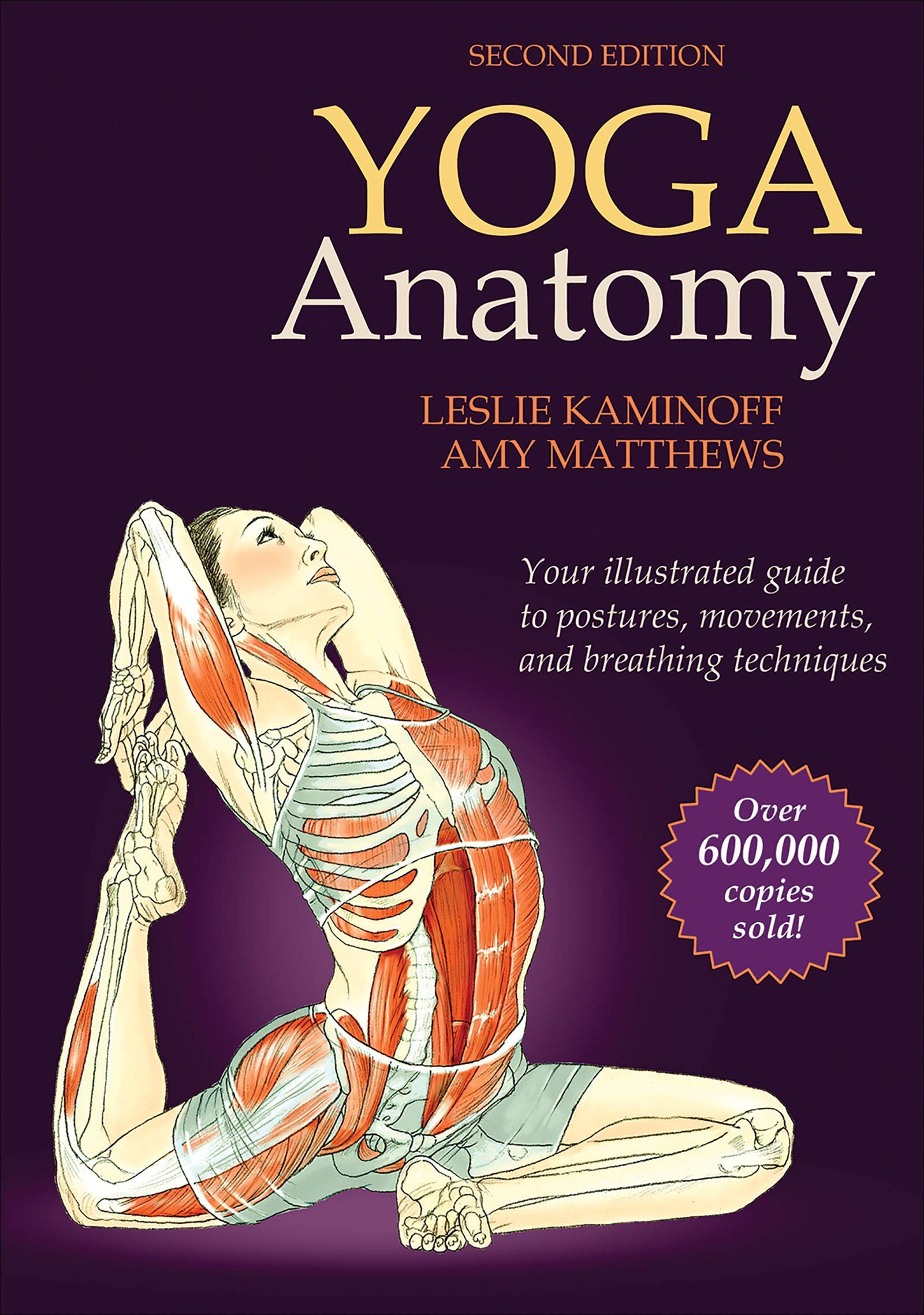 Fitness books collection set by Various Authors, featuring three non-fiction paperbacks on health and exercise.