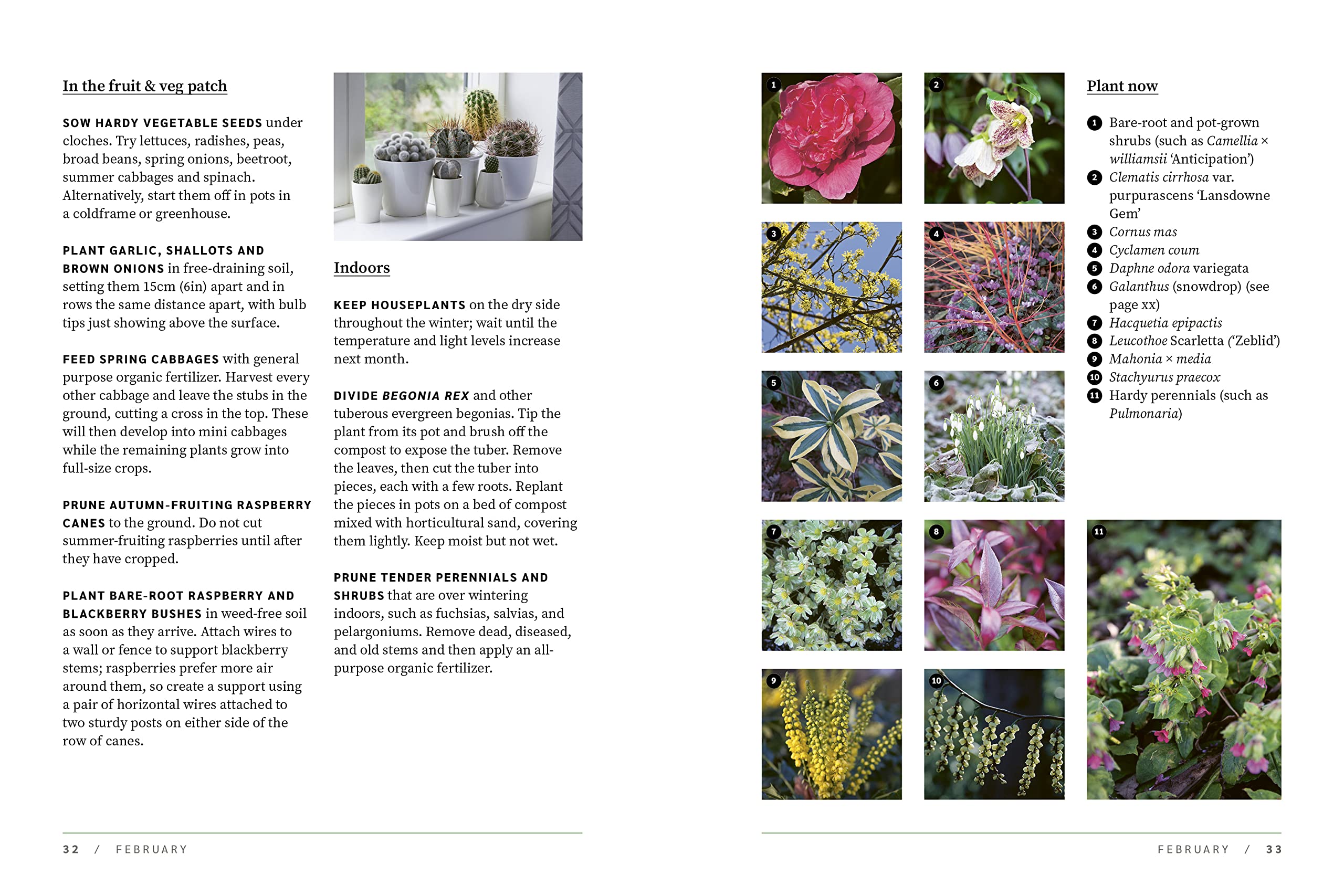 Hardback RHS Garden Almanac 2024 by RHS, featuring a colorful cover with gardening illustrations and informative content.