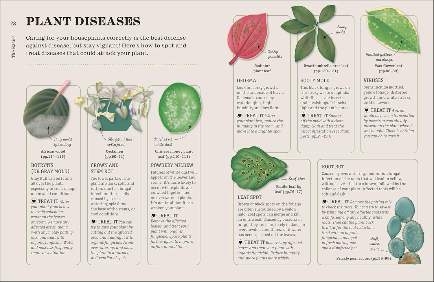 Hardback book titled "How Not to Kill Your Houseplant" by Veronica Peerless, featuring a cover with green plants and illustrative design.
