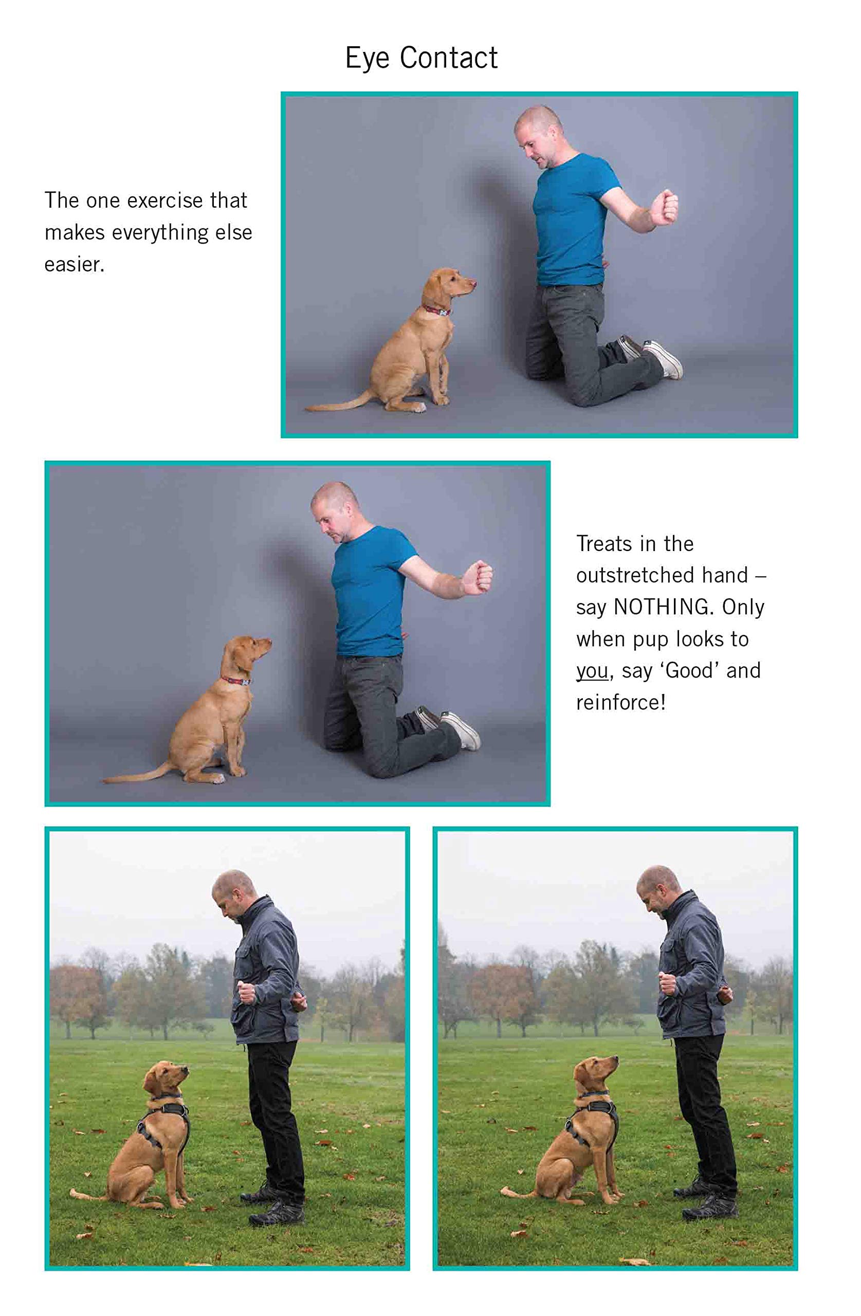Paperback edition of "Easy Peasy Puppy Squeezy" by Steve Mann, featuring a colorful cover with a playful puppy illustration.
