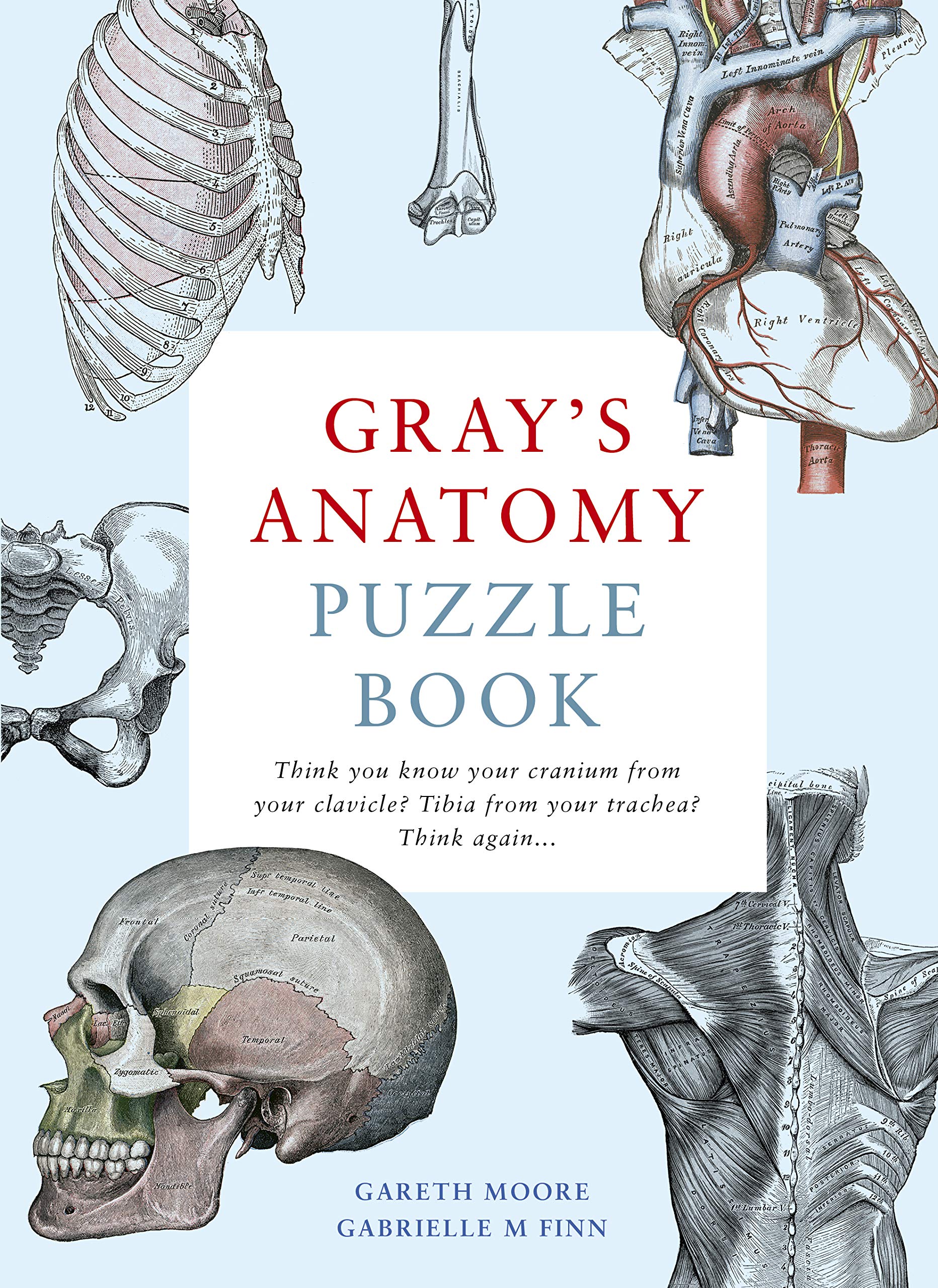 Gray's Anatomy Puzzle Book by Moore & Finn, showcasing the paperback cover with intricate illustrations and engaging puzzles.
