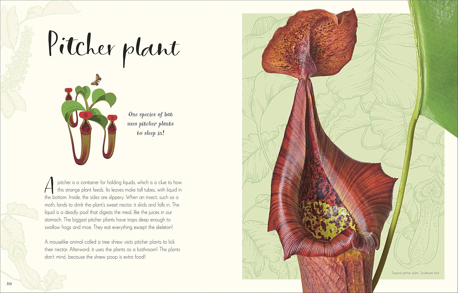 Hardcover book titled "The Wonders of Nature" by Ben Hoare, for children ages 7-9, with colorful nature illustrations on the cover.