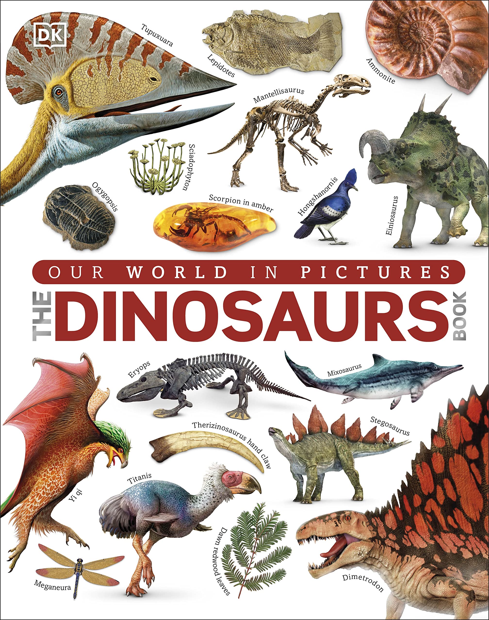 Colorful Dinosaurs book cover by D.K. Publishing, featuring various dinosaurs, suitable for ages 5 and up.