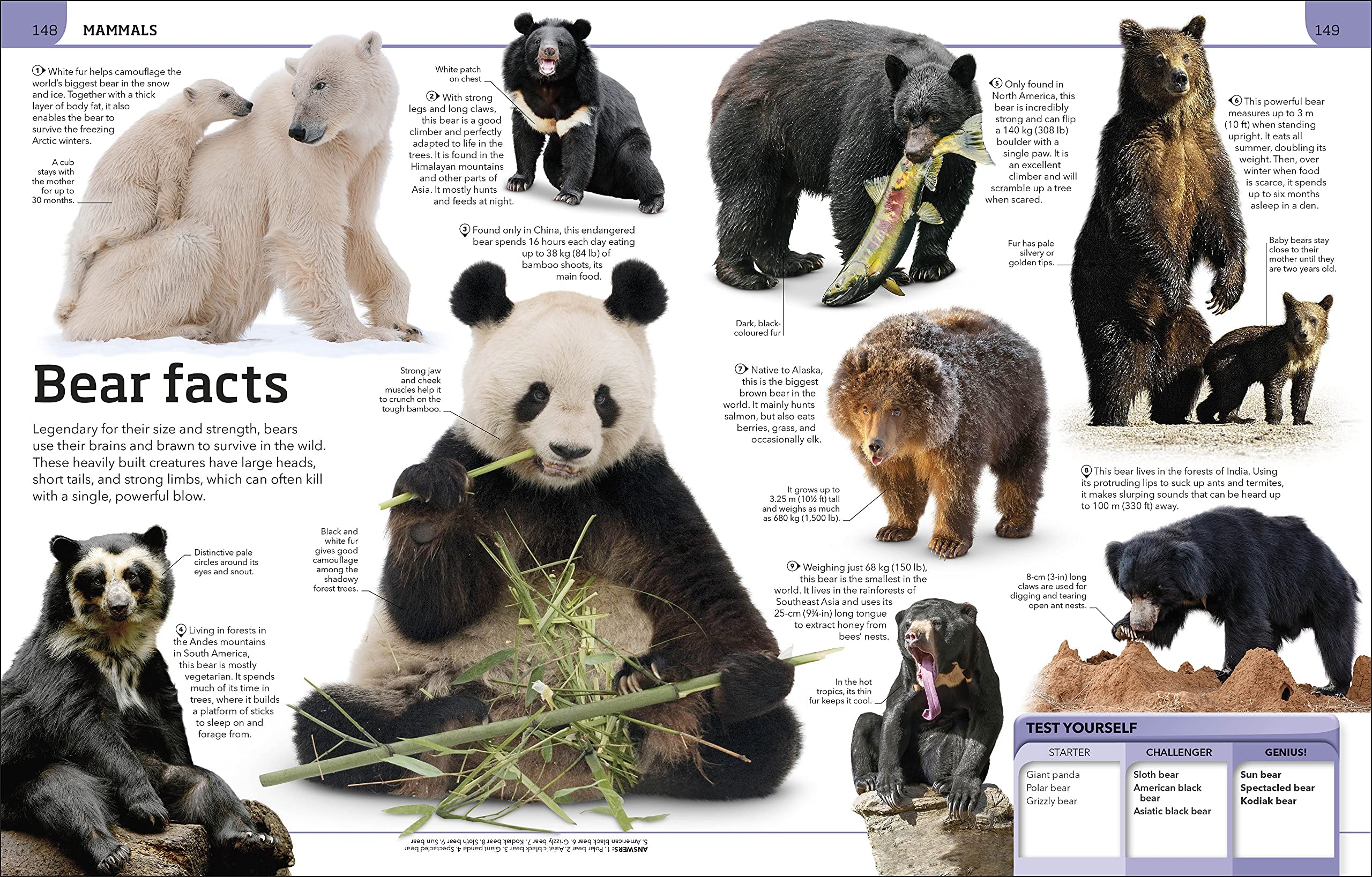 Animal Knowledge Genius Encyclopedia paperback by D.K. Publishing, featuring a colorful cover with various animals illustrated.