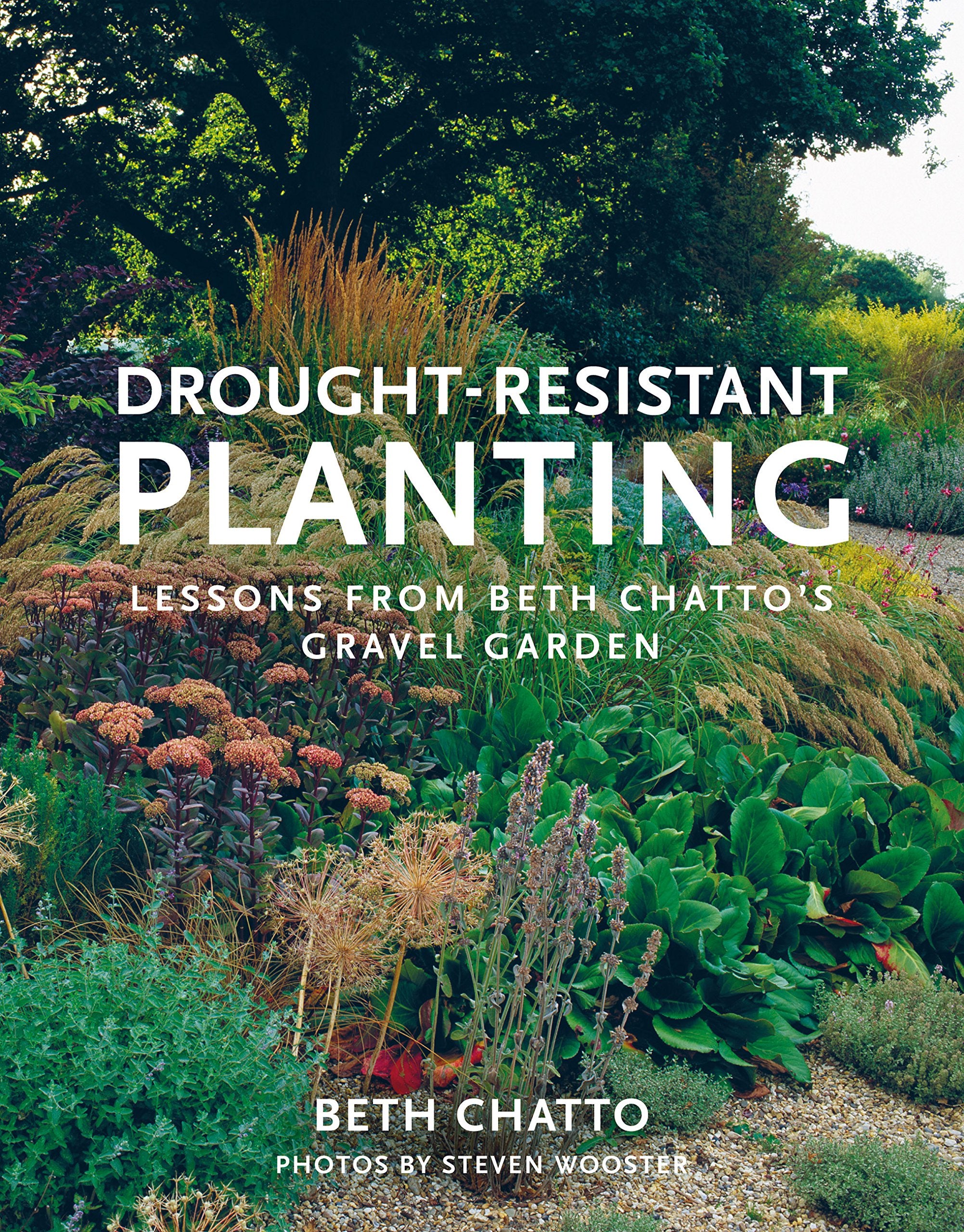 Drought-resistant planting guide by Beth Chatto, paperback book cover featuring vibrant plant imagery and title.