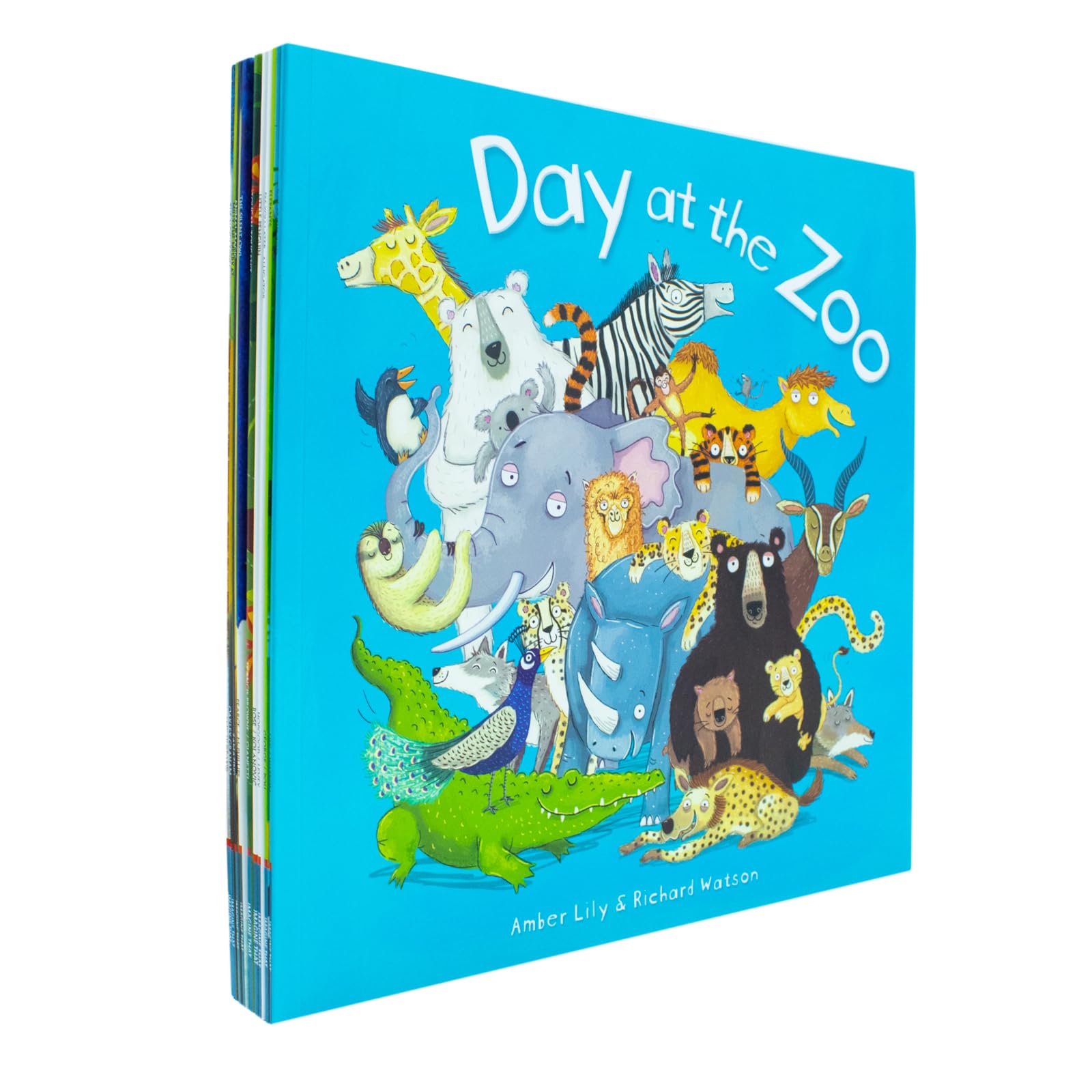 Individual book covers from the set including The Noisy Foxes and Day at the Zoo paperback storybooks
