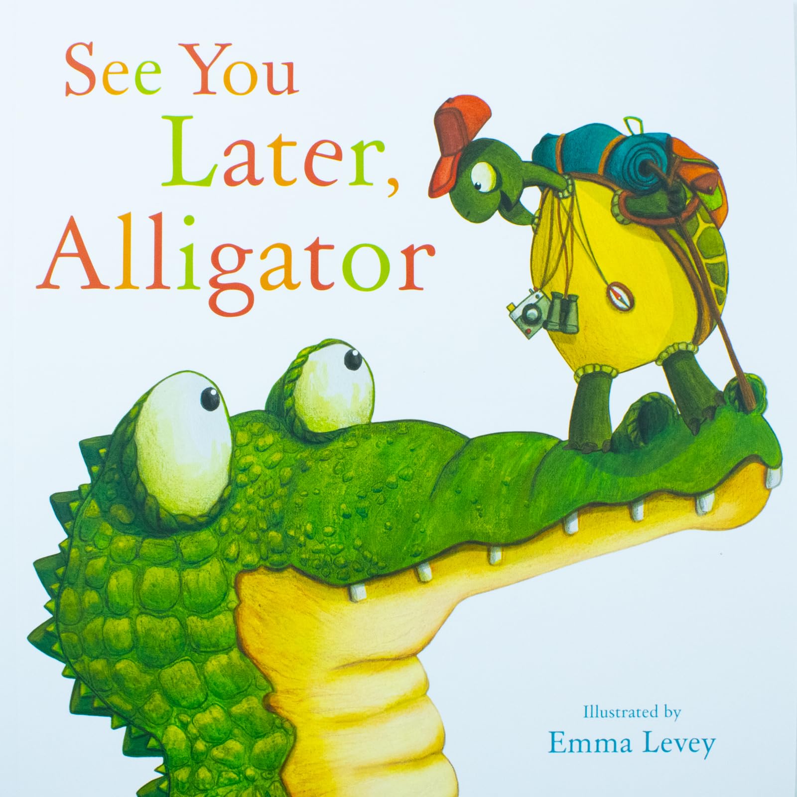 All ten paperback books from the A Day at the Zoo collection fanned out together showing full illustrated set