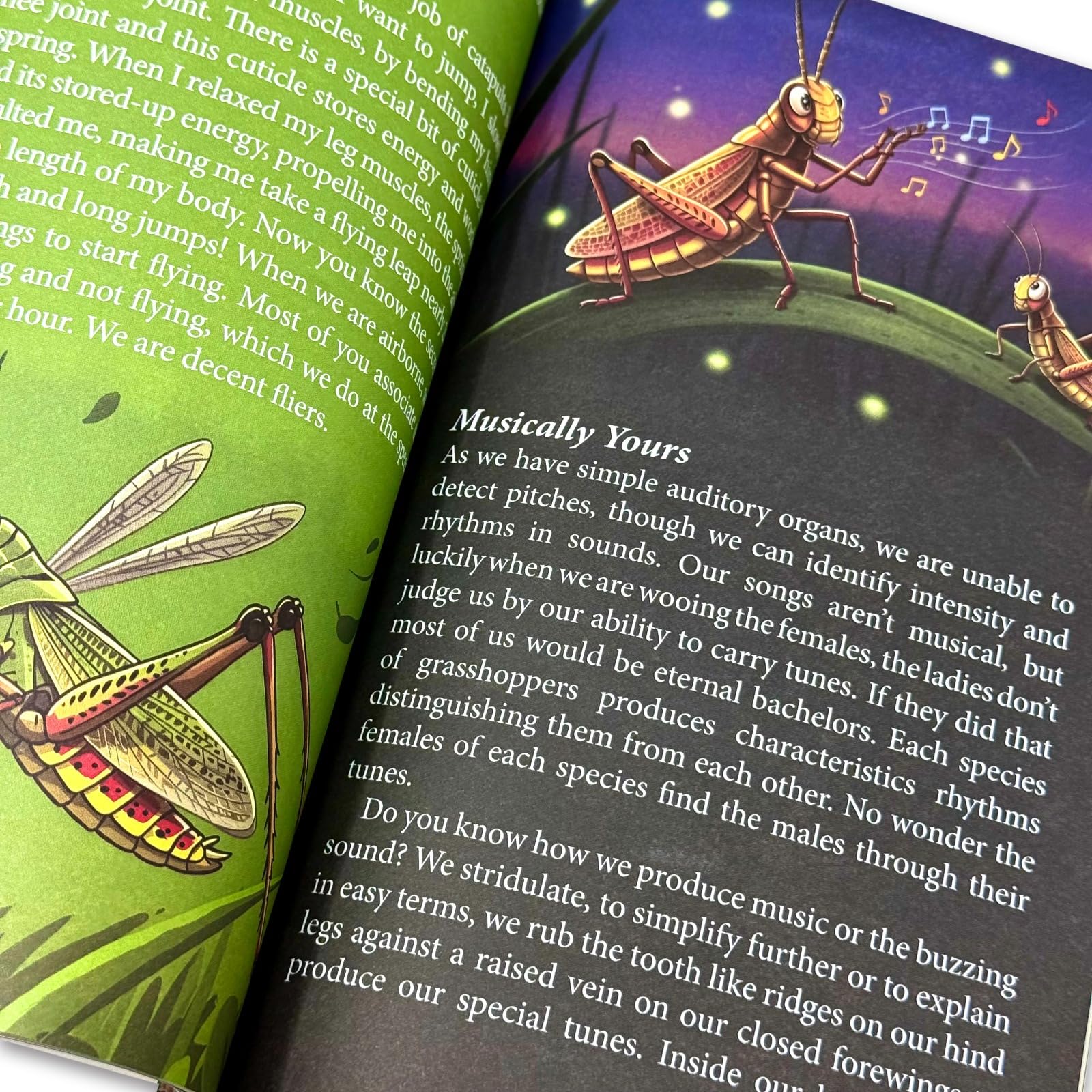 Angled view of the Amazing Creatures paperback book by Rachna Chhabria showing spine and cover edge detail
