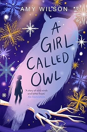Individual paperback cover from the Amy Wilson 5 book collection for ages 9-12