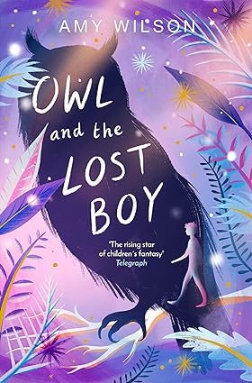 Another title cover from the Amy Wilson children's fantasy fiction set