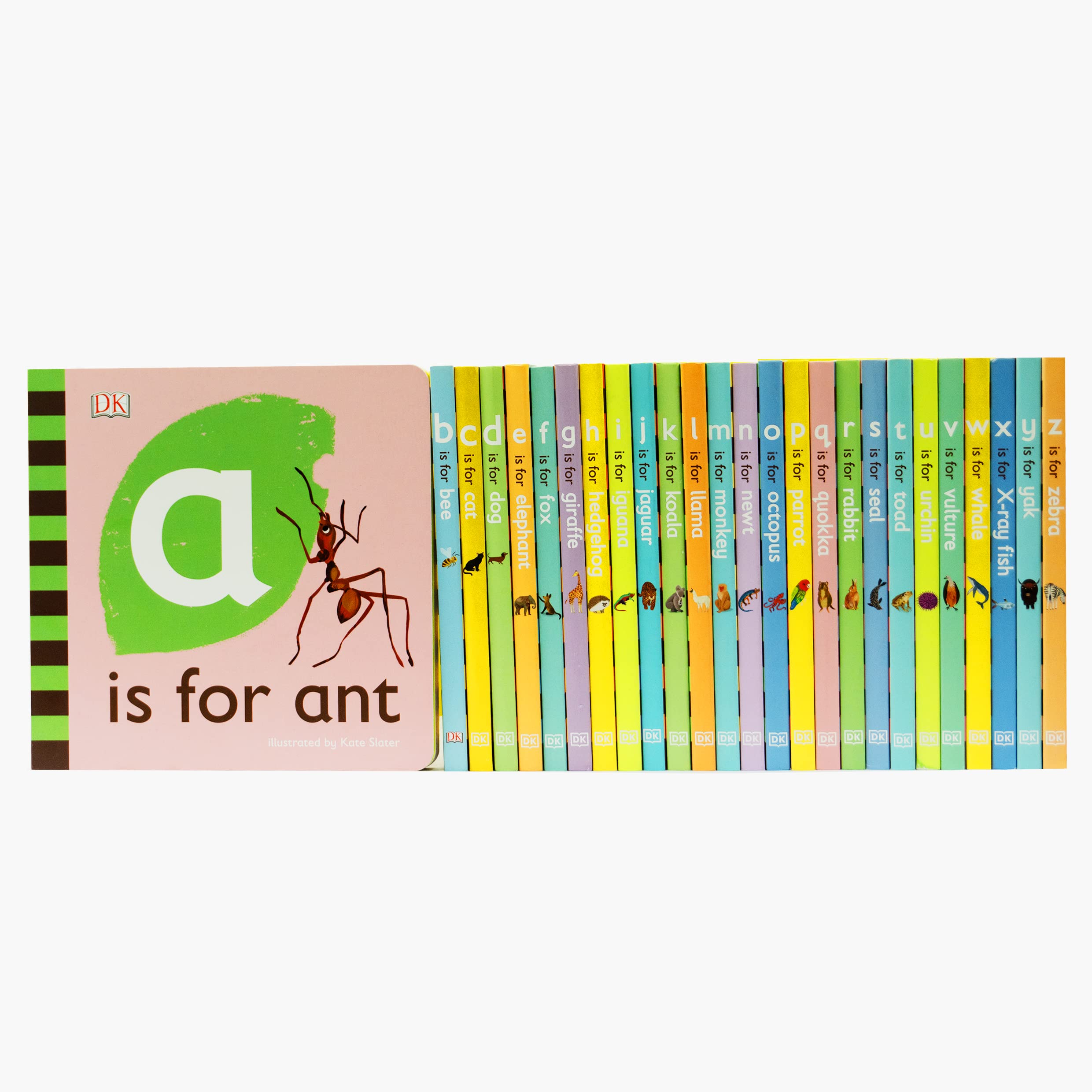 Back of the Animal Alphabet Library box set by DK showing all 26 board book spines from A is for Ant to Z is for Zebra