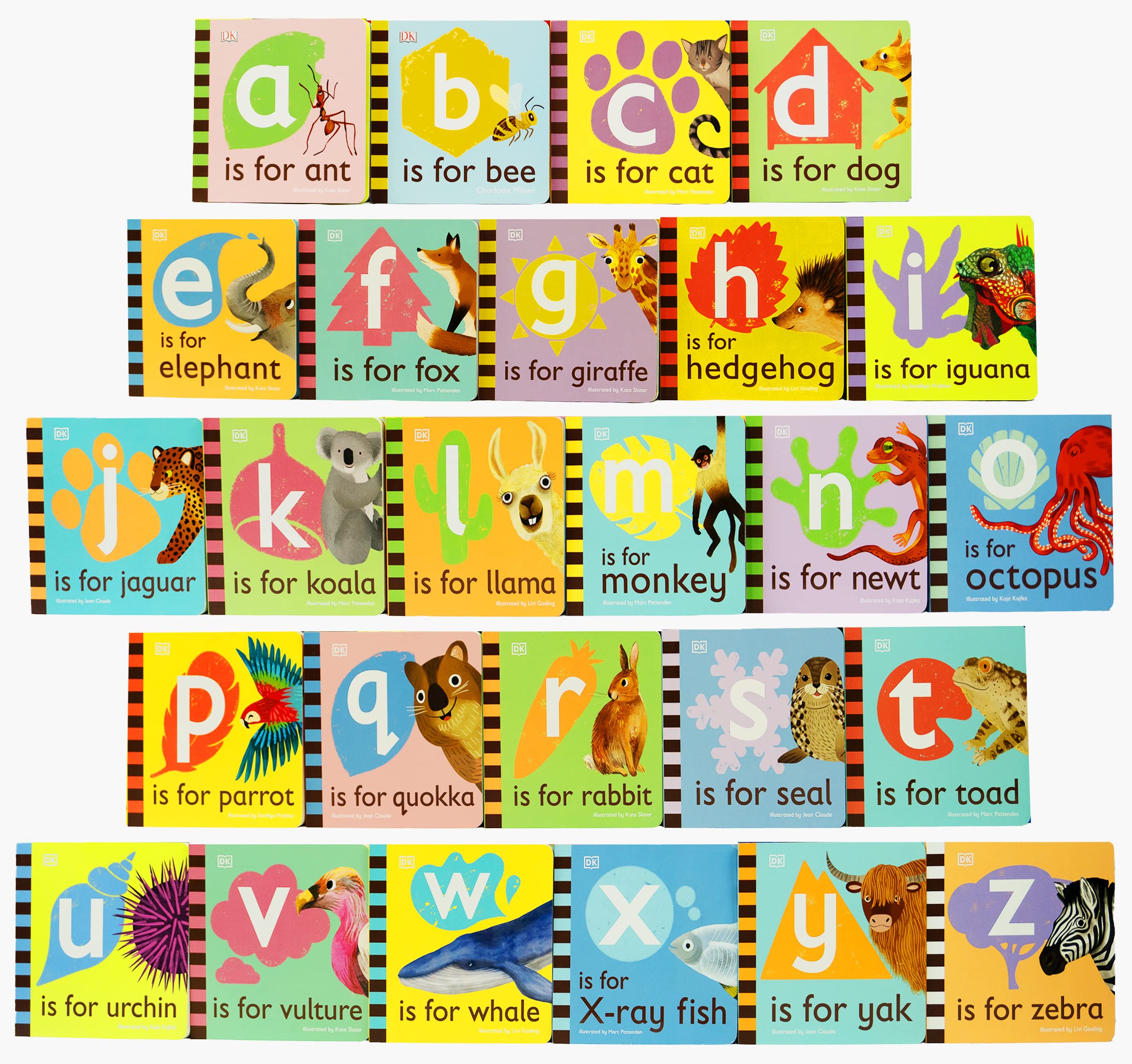 Animal Alphabet Library 26 board books box set by DK, front box cover showing animal alphabet illustrations, Ages 2-5