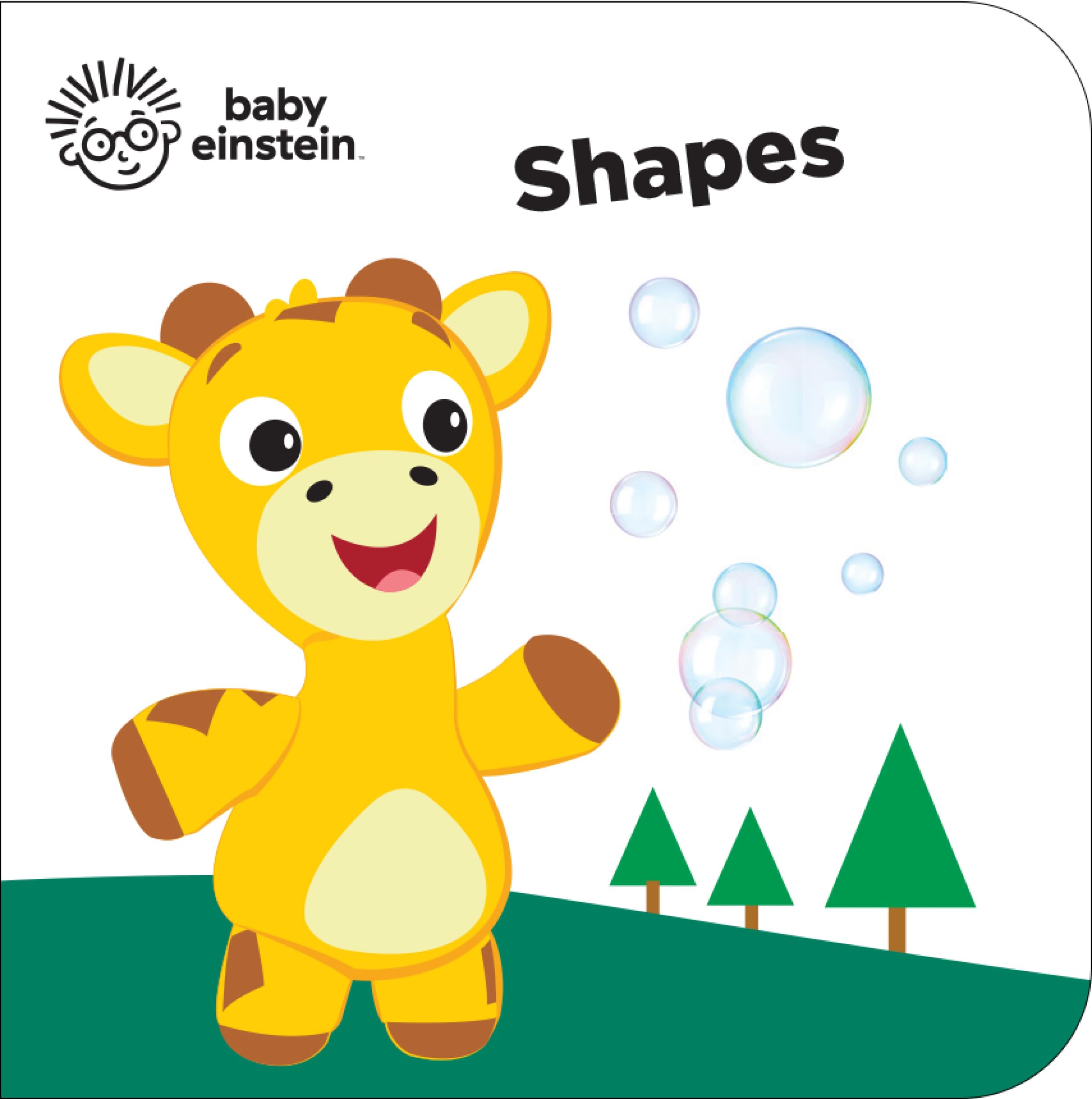 Baby Einstein 12 Farm Board Books M1L carrying case shown with plastic handle for easy transport