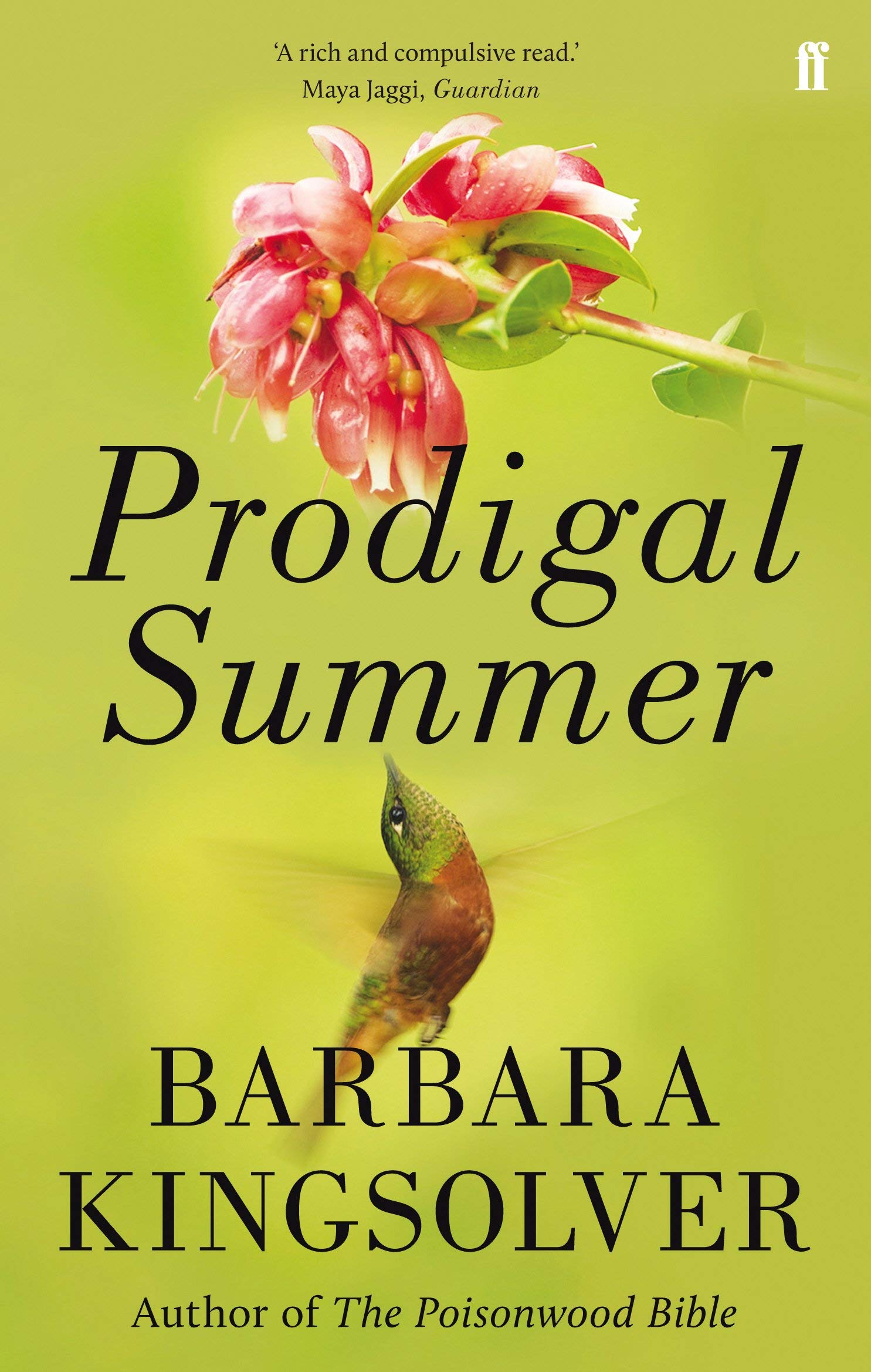 Close-up of The Poisonwood Bible paperback cover by Barbara Kingsolver
