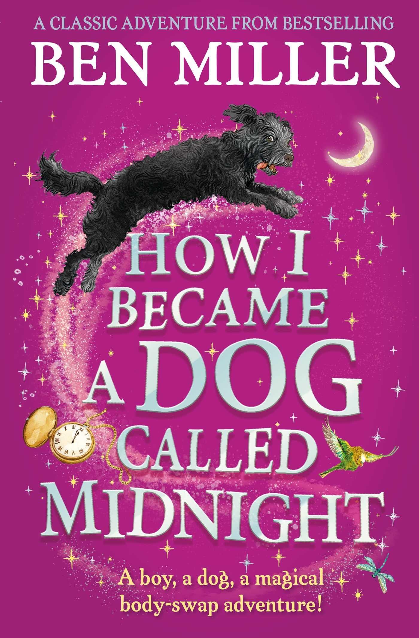 How I Became a Dog Called Midnight by Ben Miller book cover, chapter book for kids ages 7-9